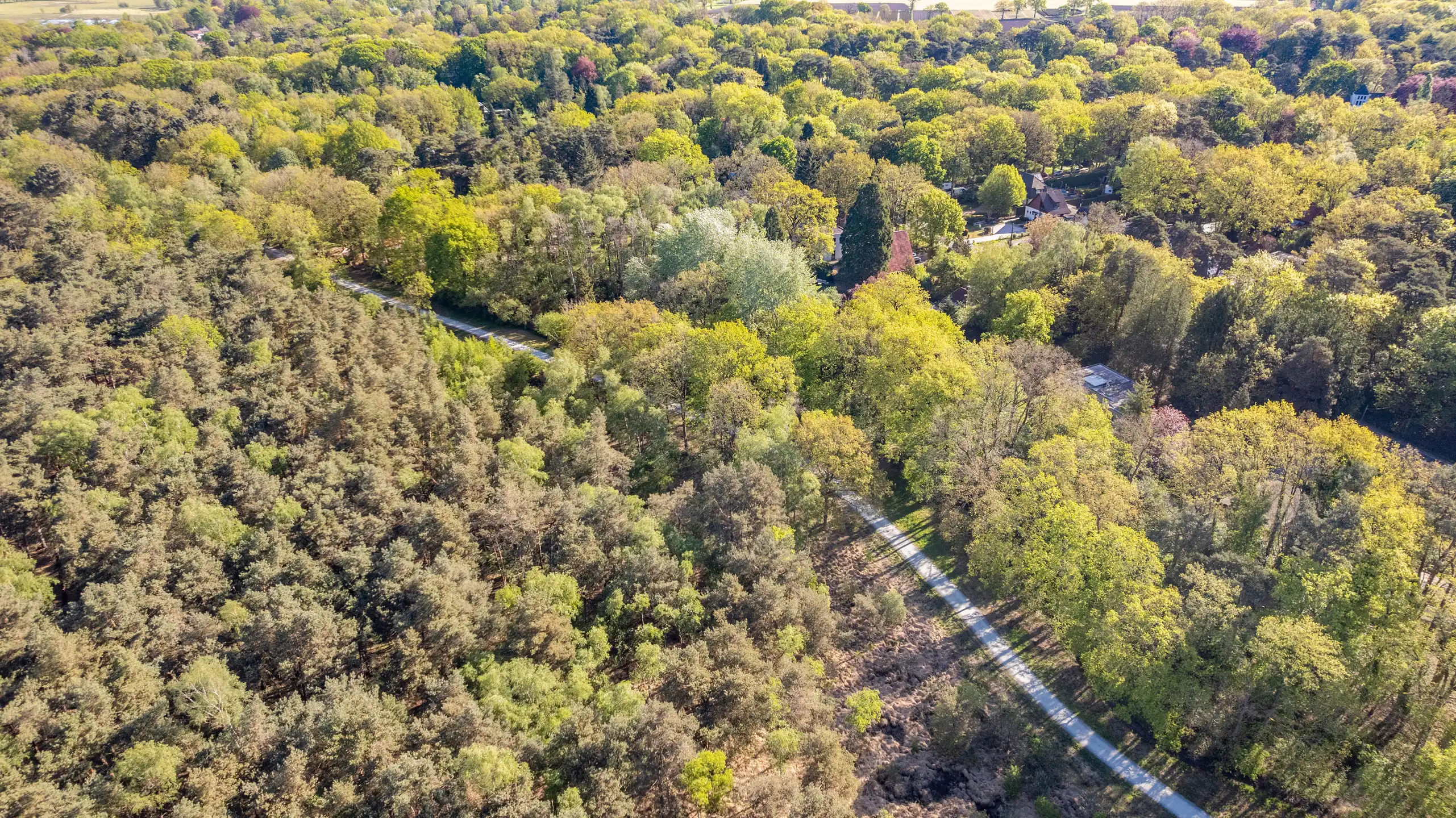 Prachtig perceel met directe ingang tot de Heide foto 17