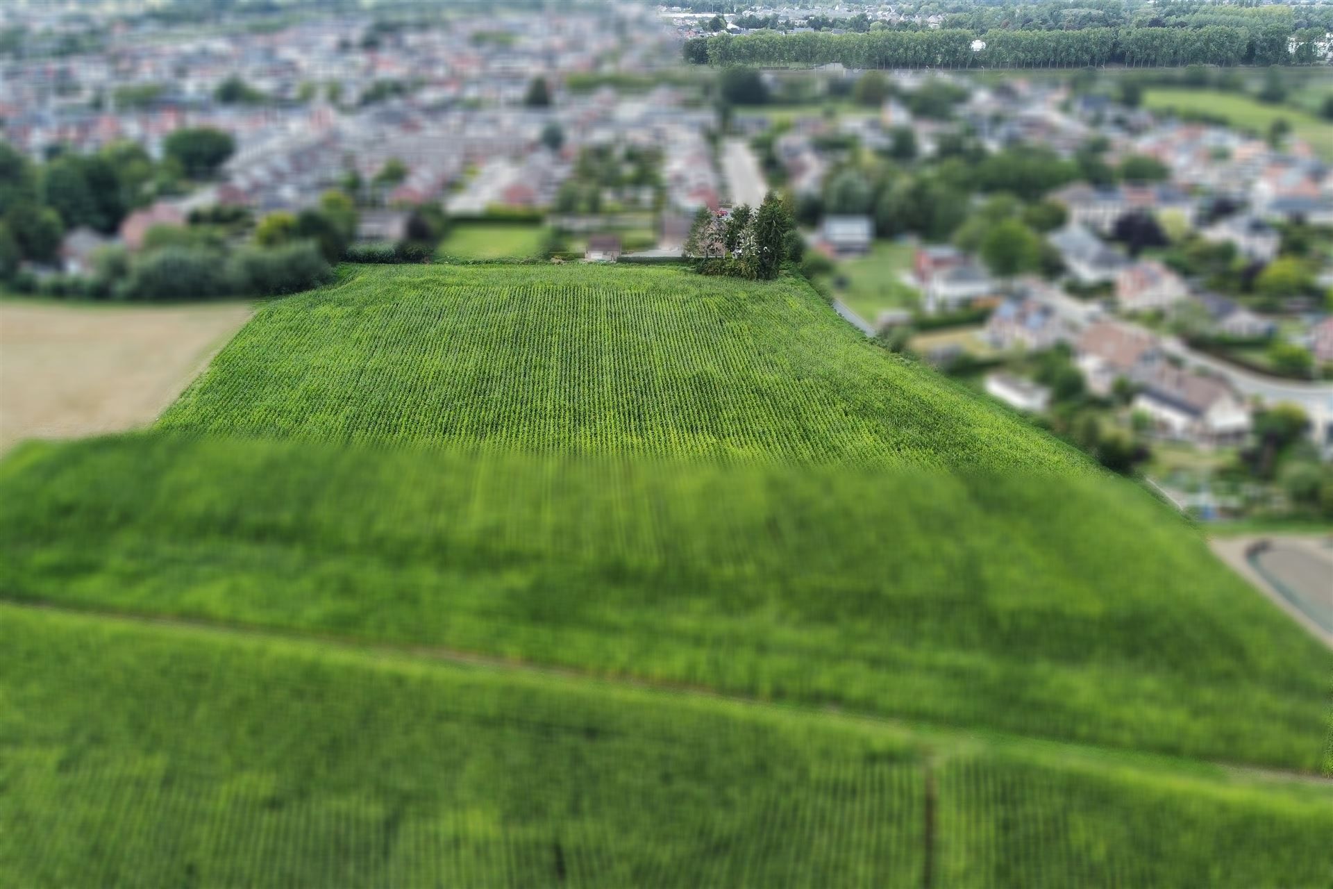 Gunstig gelegen landbouwgrond op een perceel van 1ha 23a. foto 4