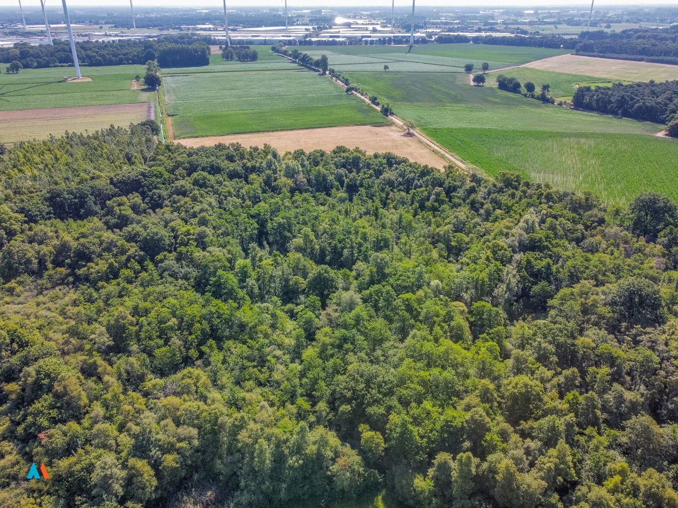 Perceel natuurgrond foto 8