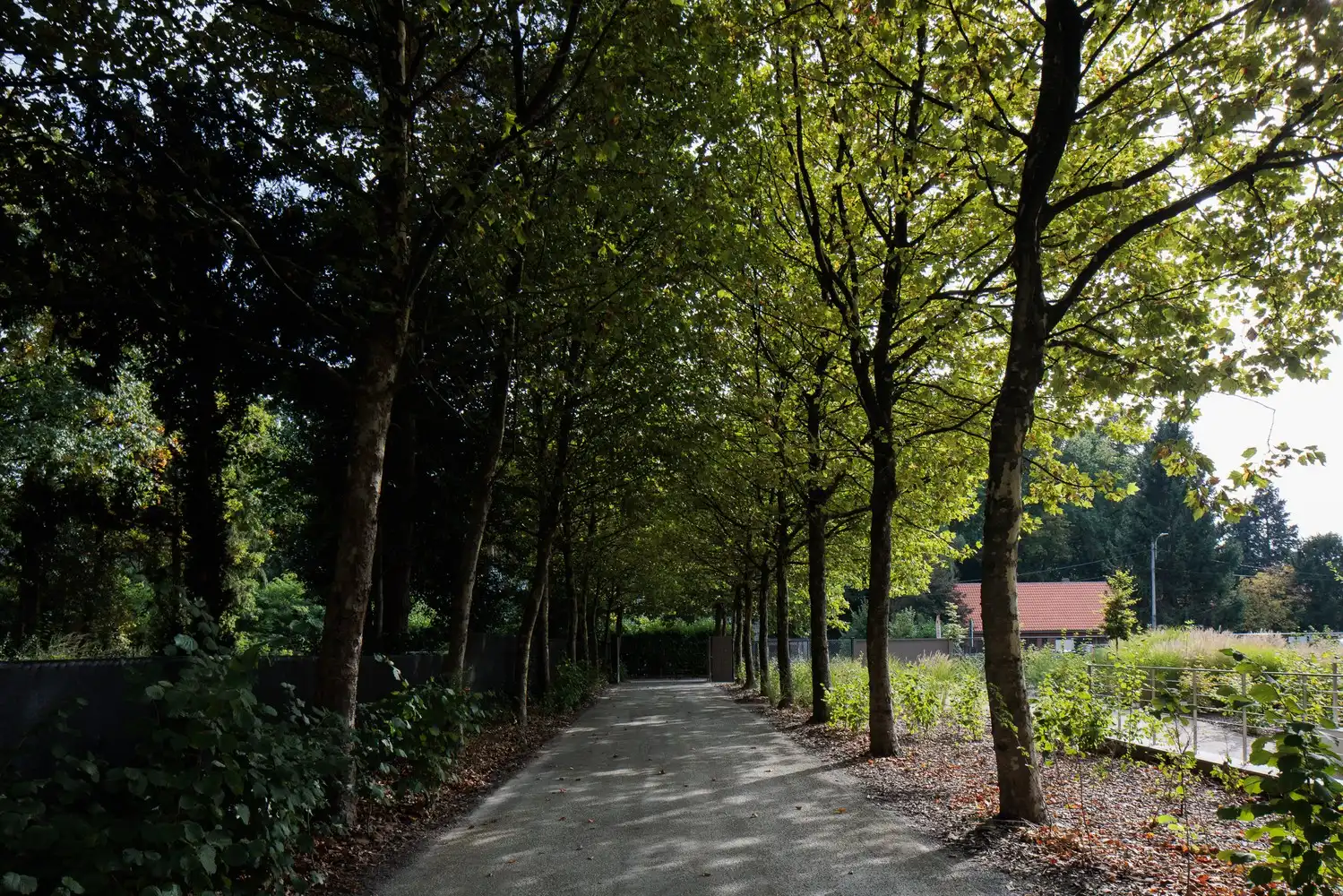 Residentie Delicia - Een exclusieve woonbeleving op de Heide foto 30