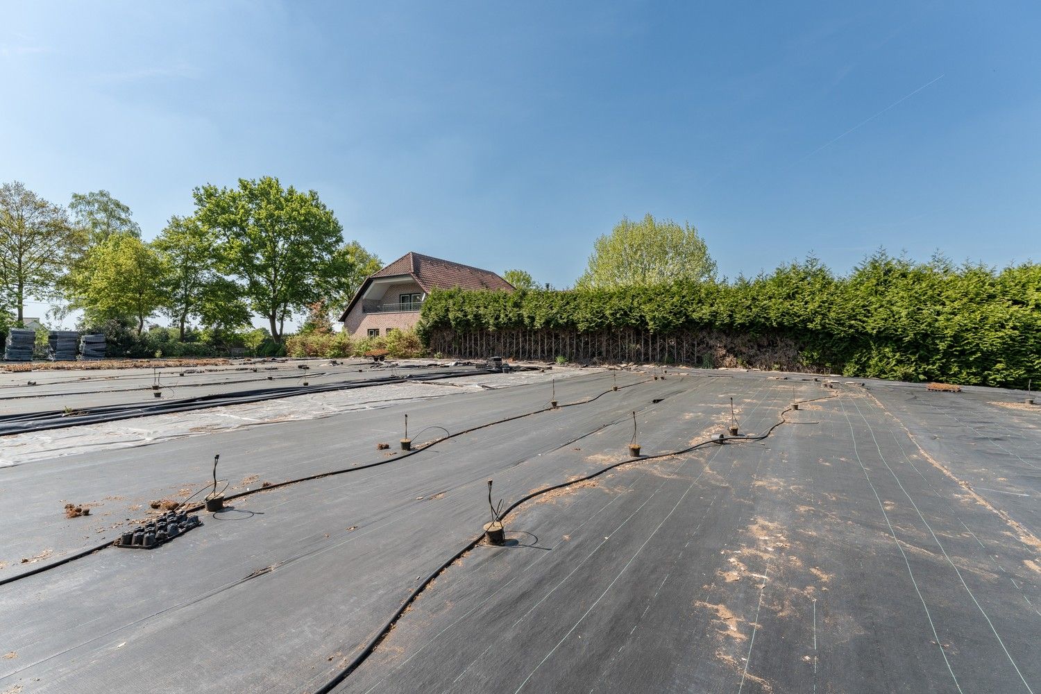 Uitgebreid Tuindersbedrijf met Woonhuis, Serres, Schermhallen en grote Bedrijfsloods op 2ha56a77! foto 19