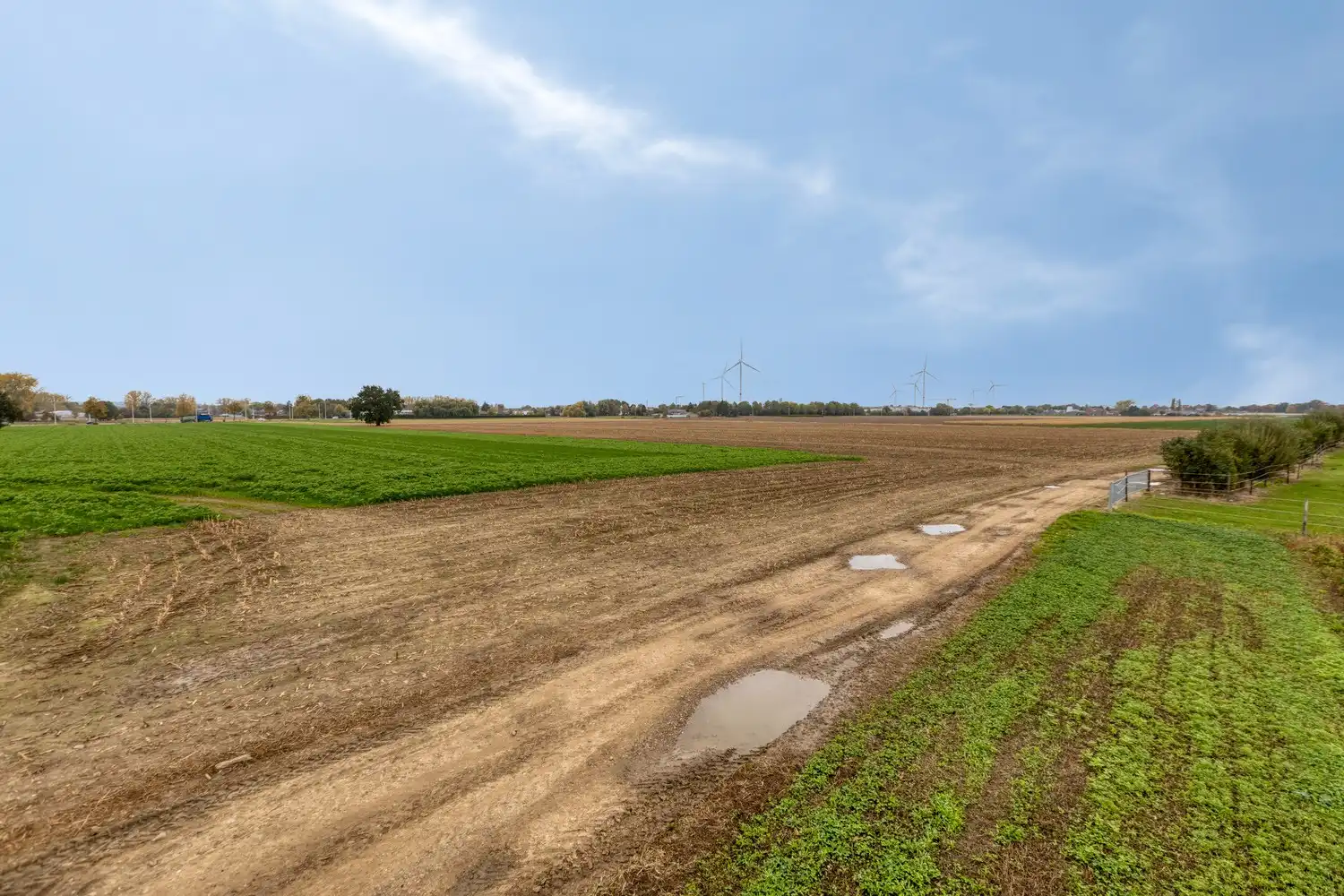 Prachtige boerderij op 1,4 hectare grond in Rekem/Lanaken foto 28