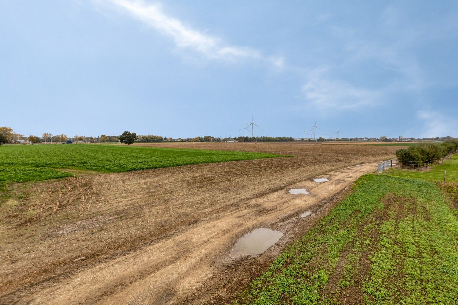 Prachtige boerderij op 1,4 hectare grond in Rekem/Lanaken foto 28
