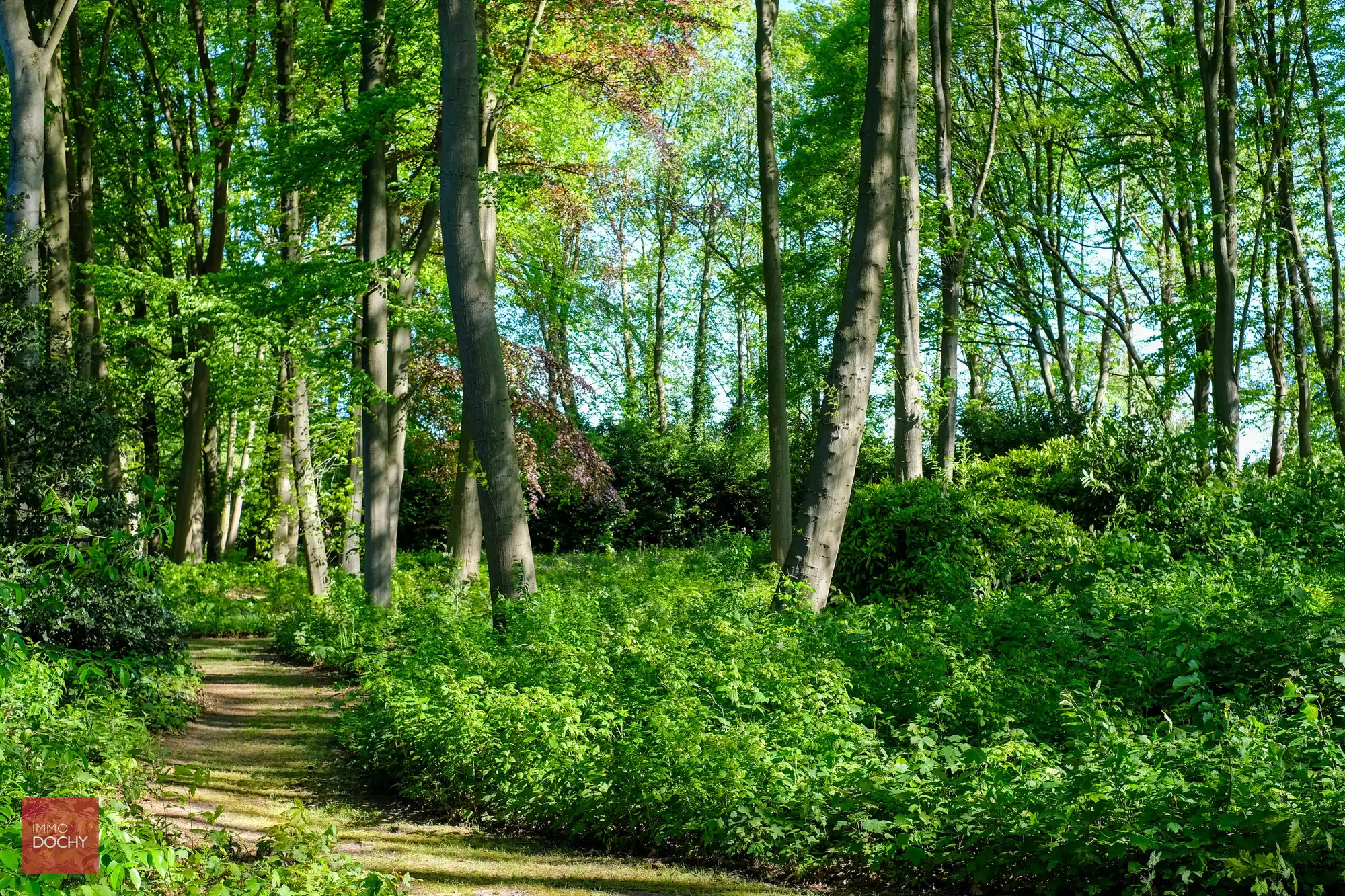 Uniek domein met ruime villa in prachtige parktuin op 2,7ha foto 5
