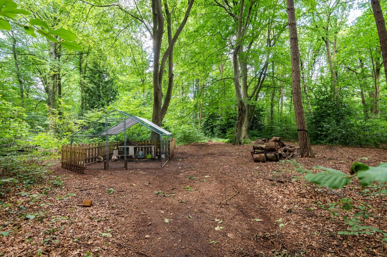 Woning met hedendaags karakter te Kapellenbos foto 26