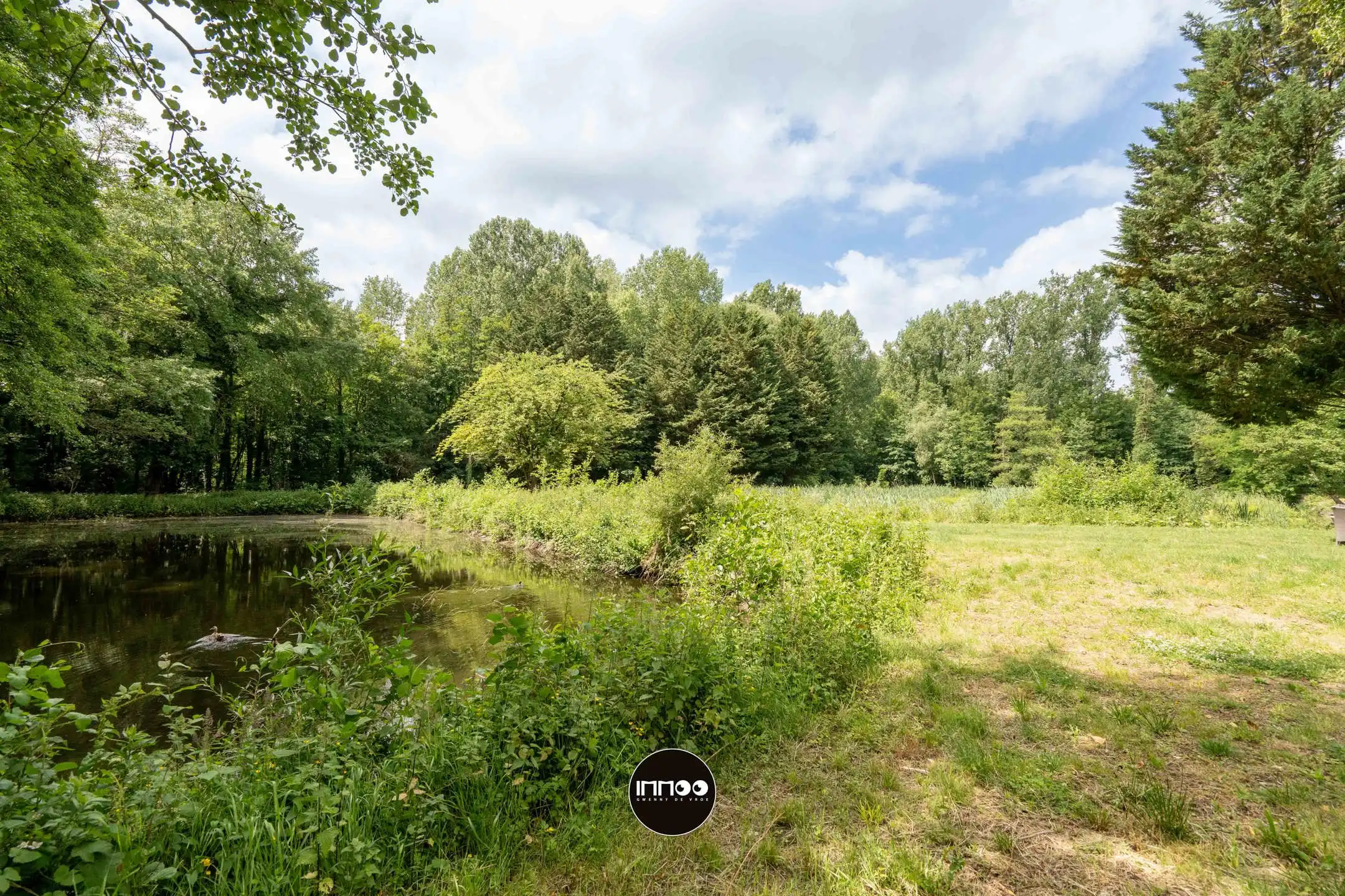 Commercieel te koop foto 29