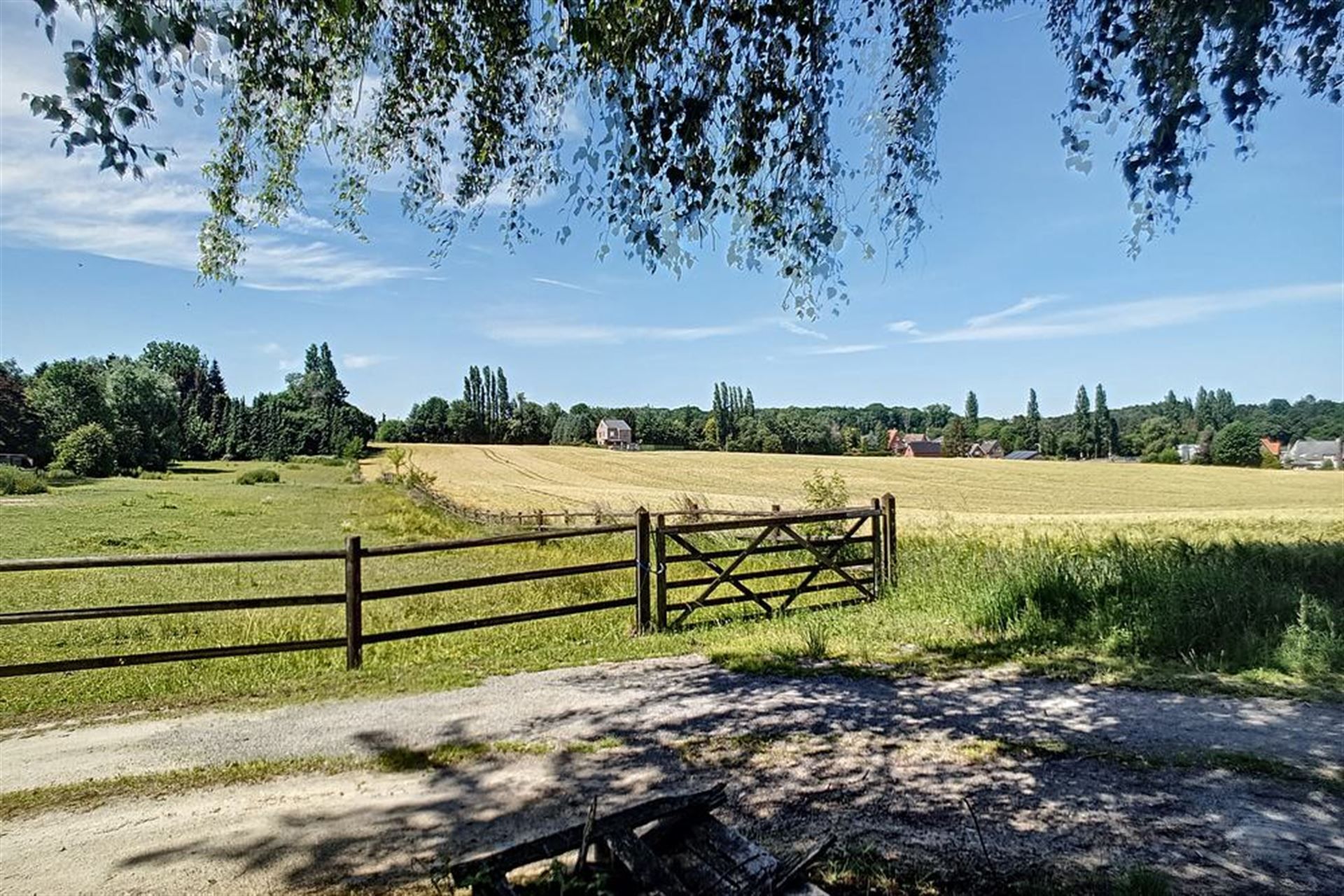 Koppelvilla in rustige straat vlakbij het Park van Tervuren. foto 12