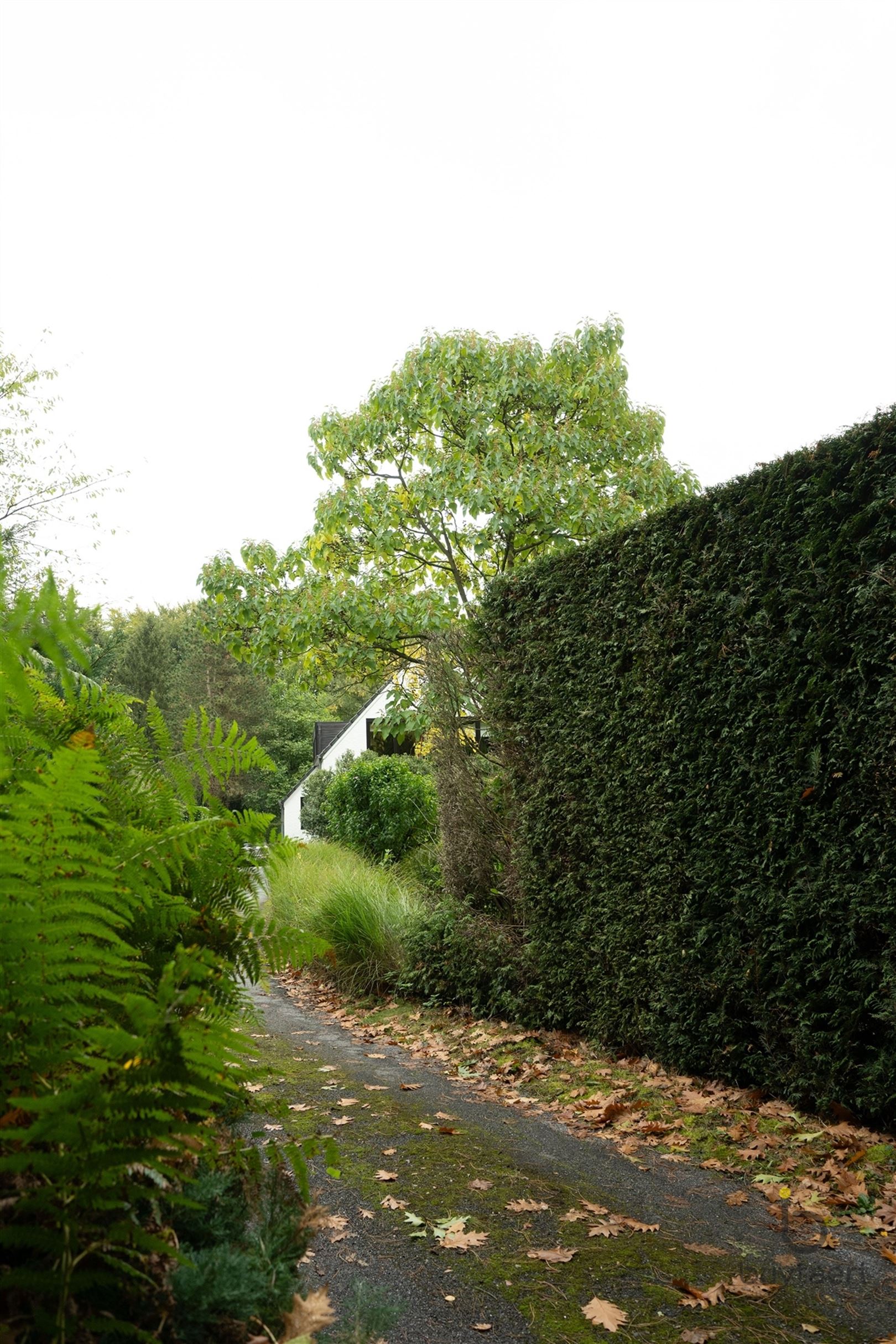 Gezellige instapklare woning met een prachtige groene tuin! foto 70