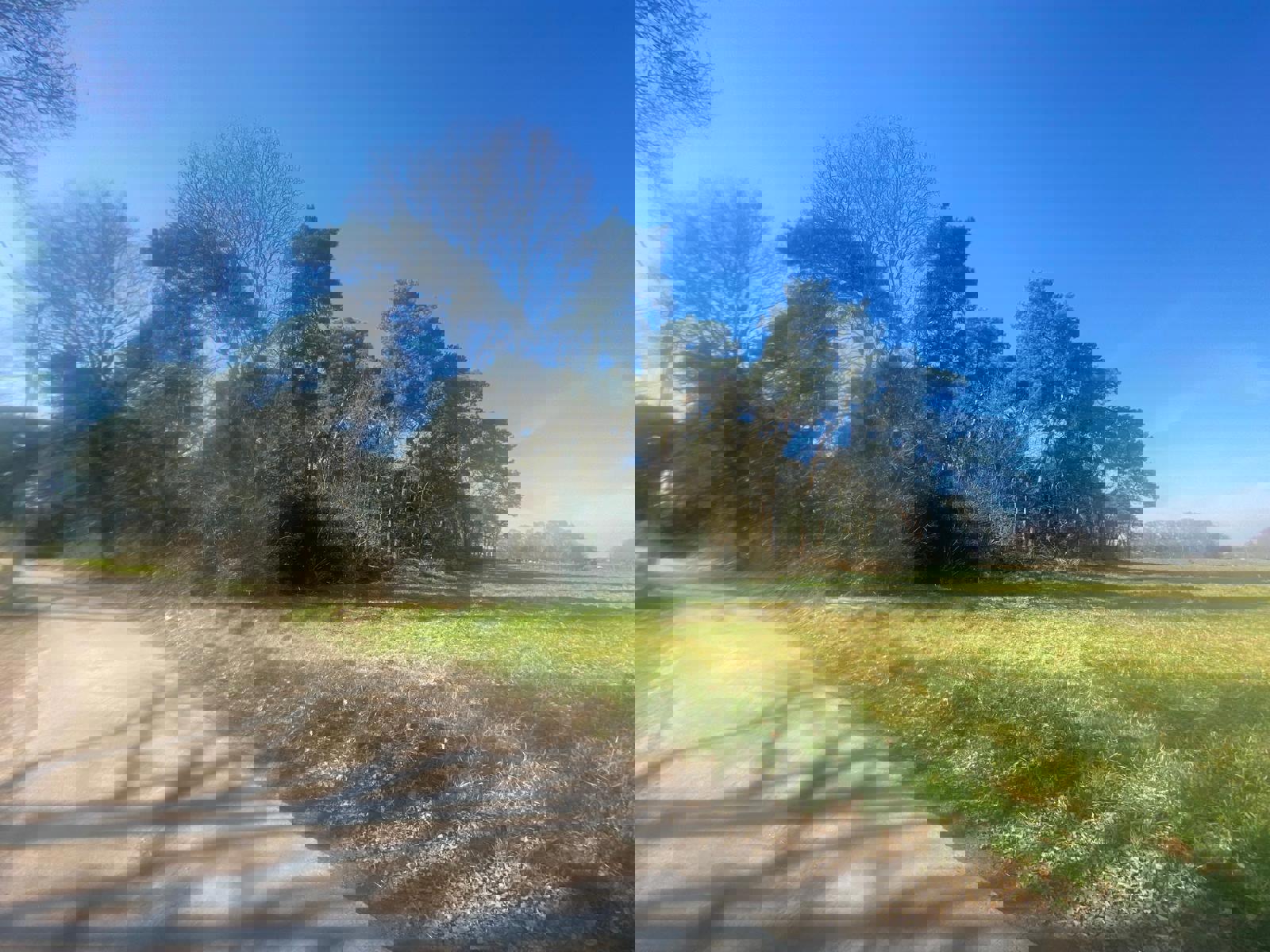 Perceel bosgrond gelegen aan verbindingsweg tussen Scheps en Schoor te Balen foto 2