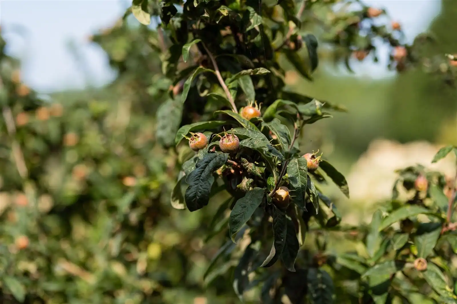 Modern afgewerkte en gerenoveerde gezinswonig met tuin op 2are93 foto 22
