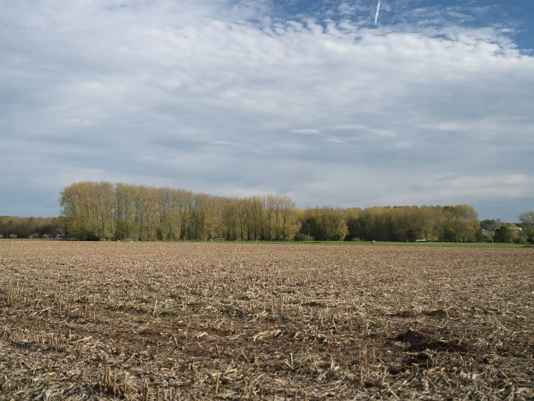 Hoogwaardig afgewerkte herenwoning + bijgebouw 84m2. foto 9