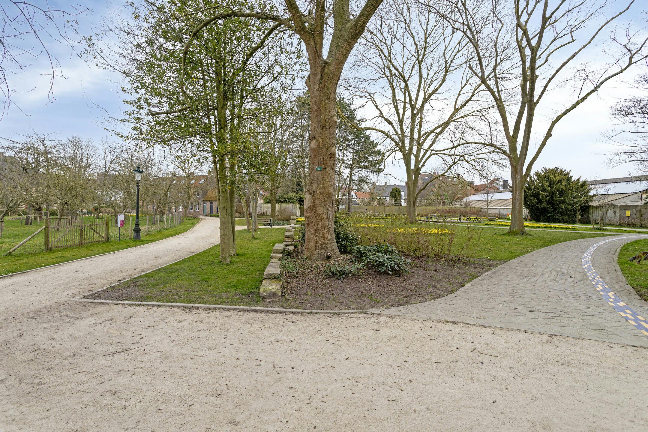 Op te frissen huis met tuin te koop in Brugge centrum foto 4