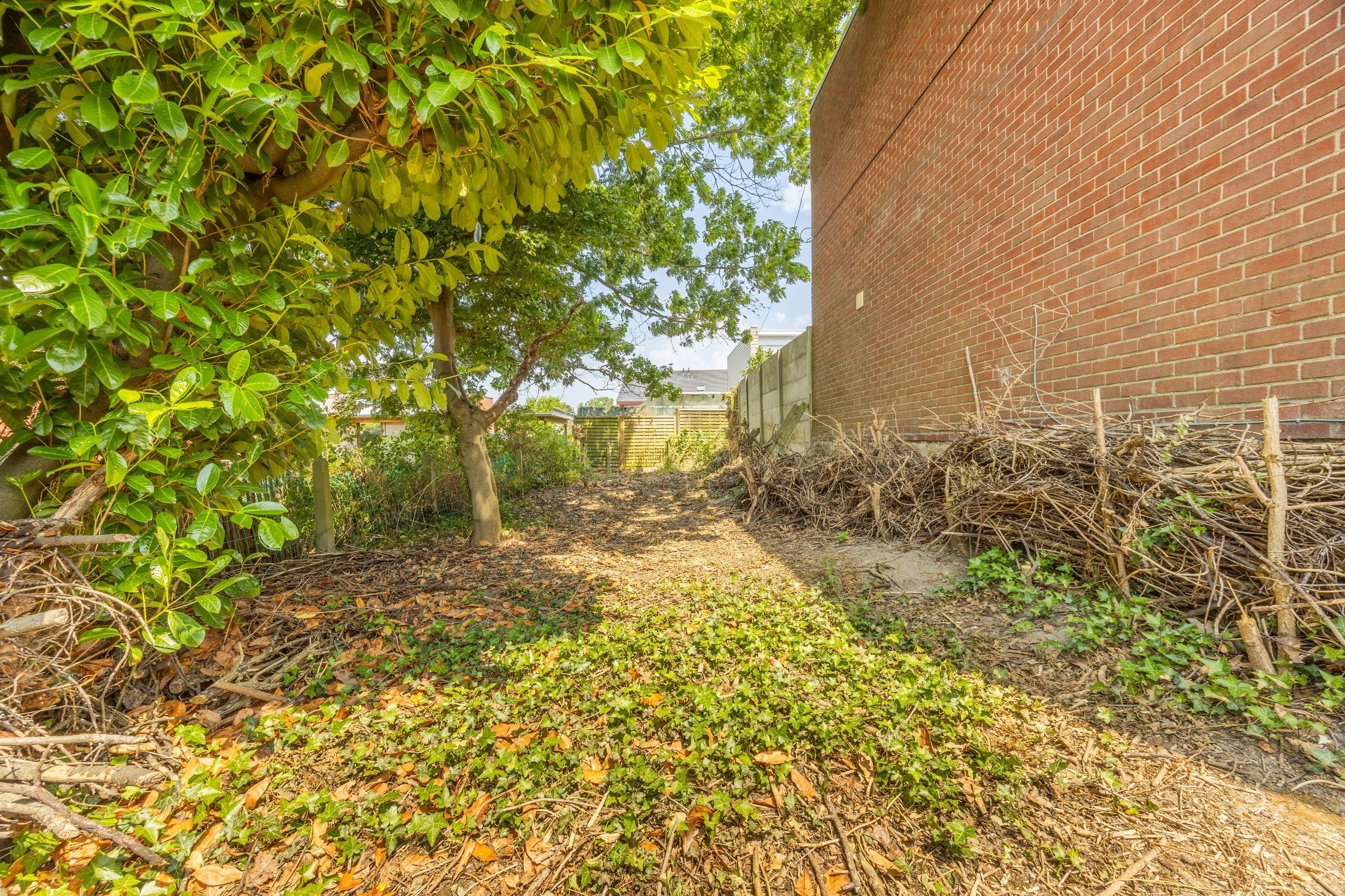 TE RENOVEREN WONING MET GARAGE  foto 9