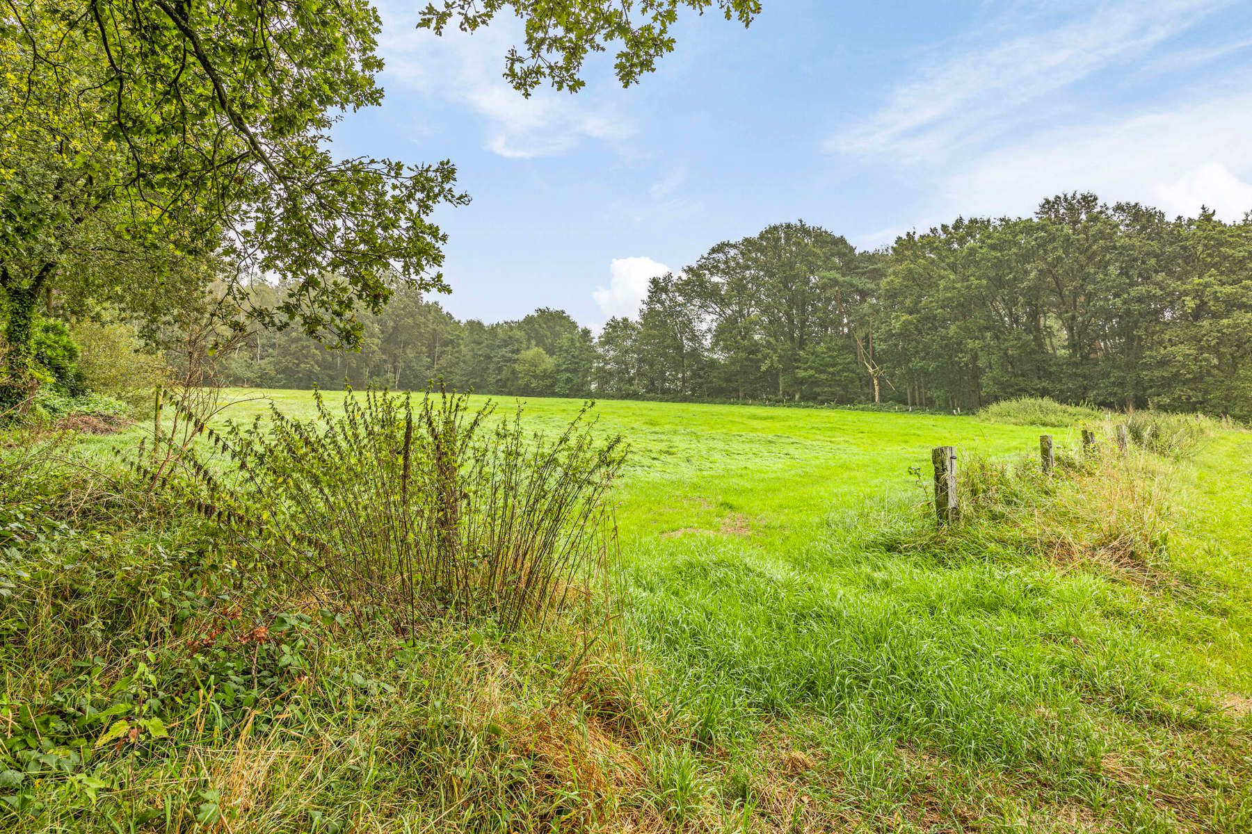 Genieten van eenvoud in een groen kader foto 19