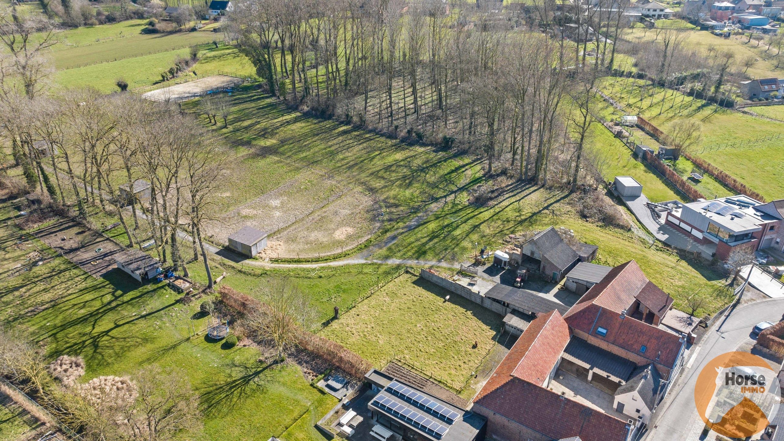 ZWALM - Hoeve met stallen en weides op +/-1,5HA foto 2