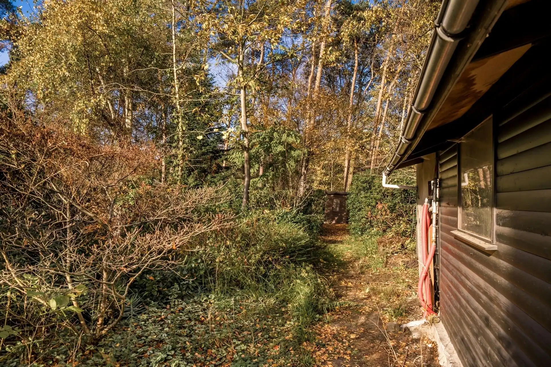 Te renoveren woning met grote tuin en eigen bos in rustig Bonheiden.  foto 23
