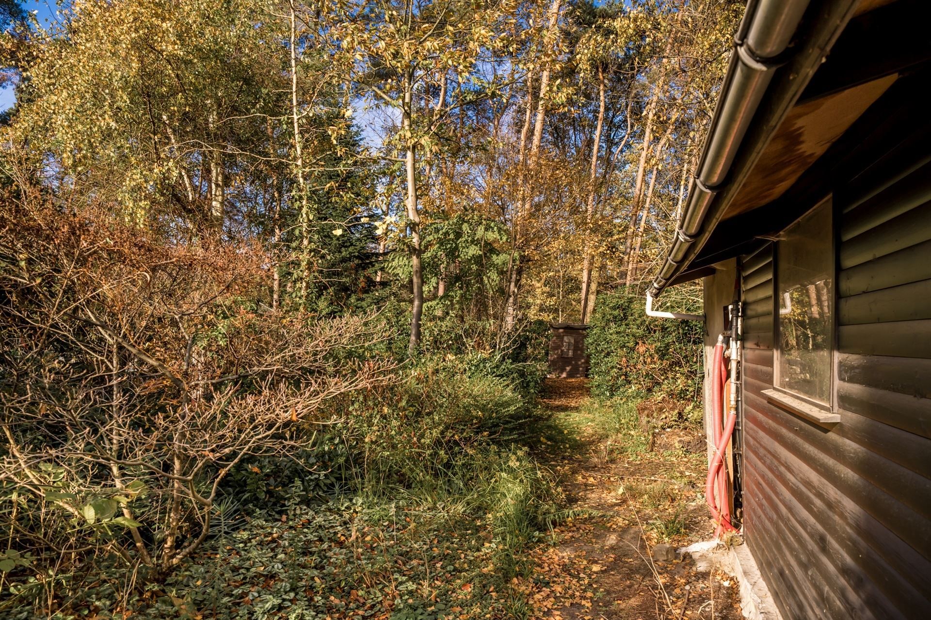 Te renoveren woning met grote tuin en eigen bos in rustig Bonheiden.  foto 23