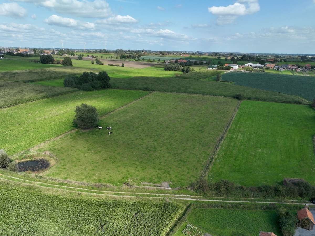 Perceel landbouwgrond van 1,36 hectare foto 3