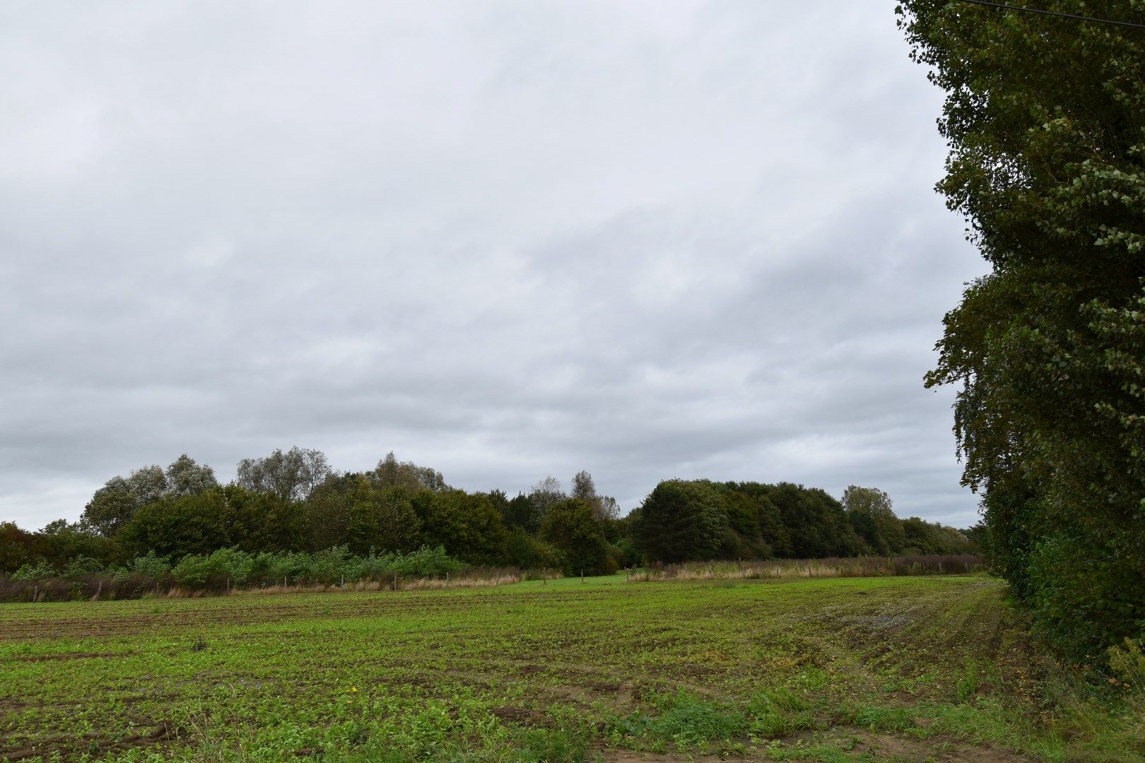 Alleenstaande woning te koop in Gullegem vlakbij Domein Bergelen foto 4