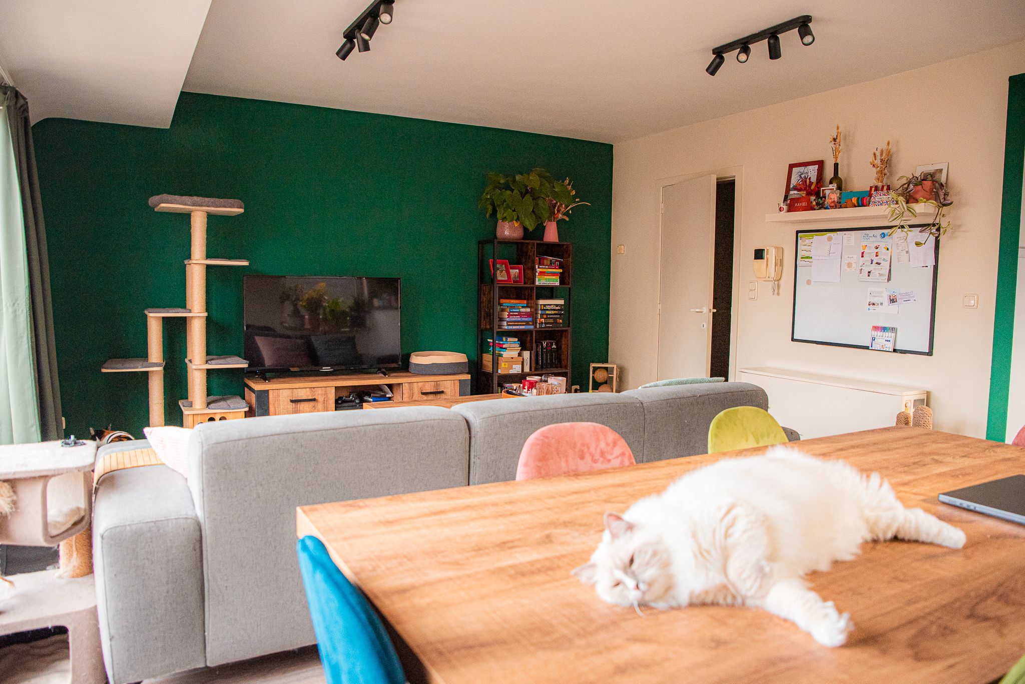 Appartement met garagebox, autostaanplaats in het centrum van Knesselare foto 4