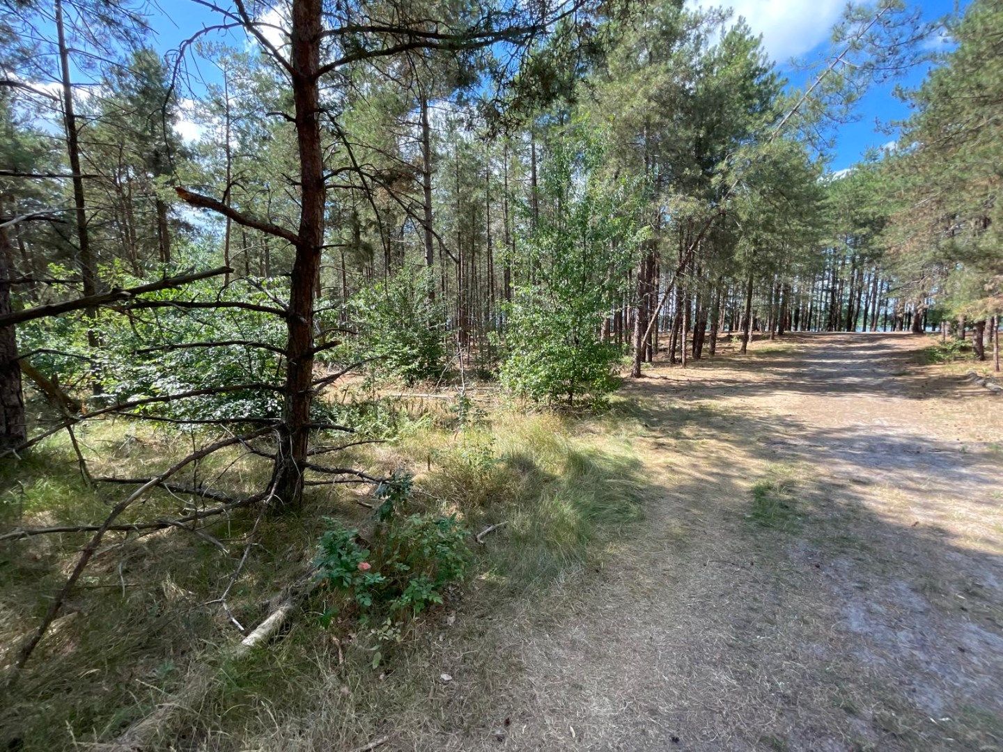 Twee halfopen bebouwingen samen te koop op perceel van 3000m² foto 16