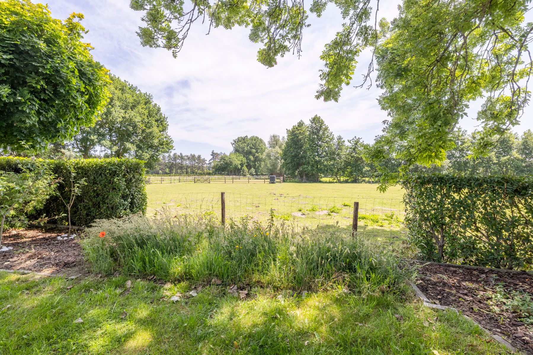 Woning met 3 slaapkamers en 7000m² weide! foto 23