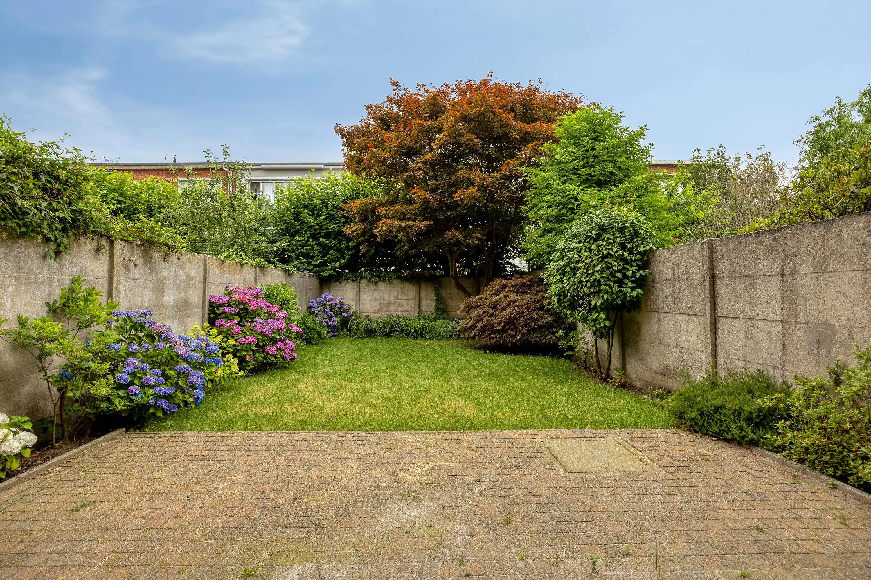 Appartement in Deurne-Zuid met 2/3 slaapkamers en tuin!  foto 2