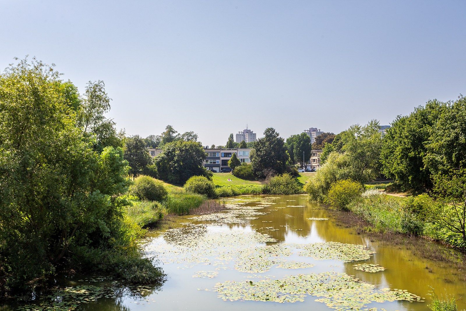 Wonen in het groen over het Mastvestpark foto 30