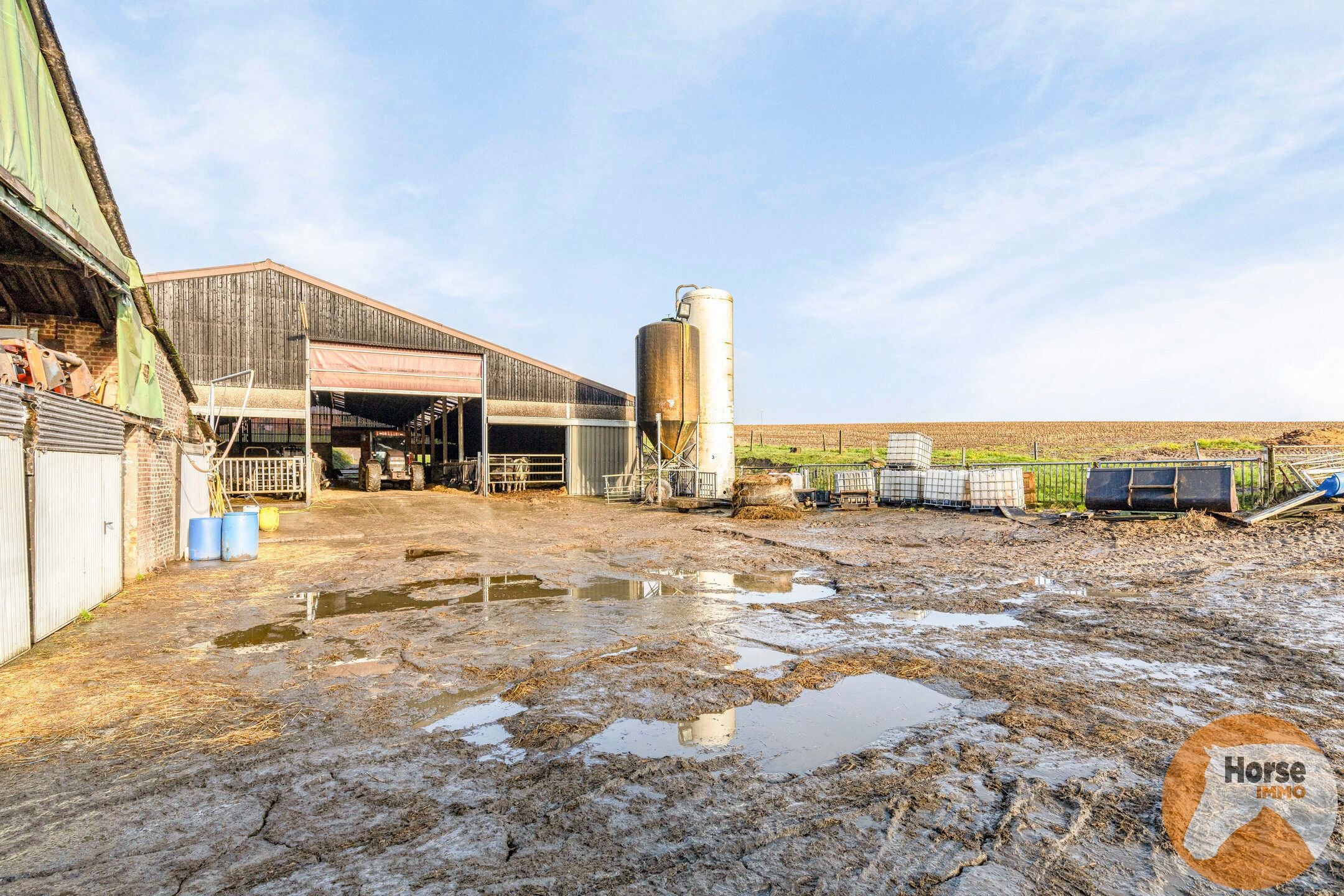 FRASNES-LES-BUISSENAL - Landbouwbedrijf op 1,9HA foto 34