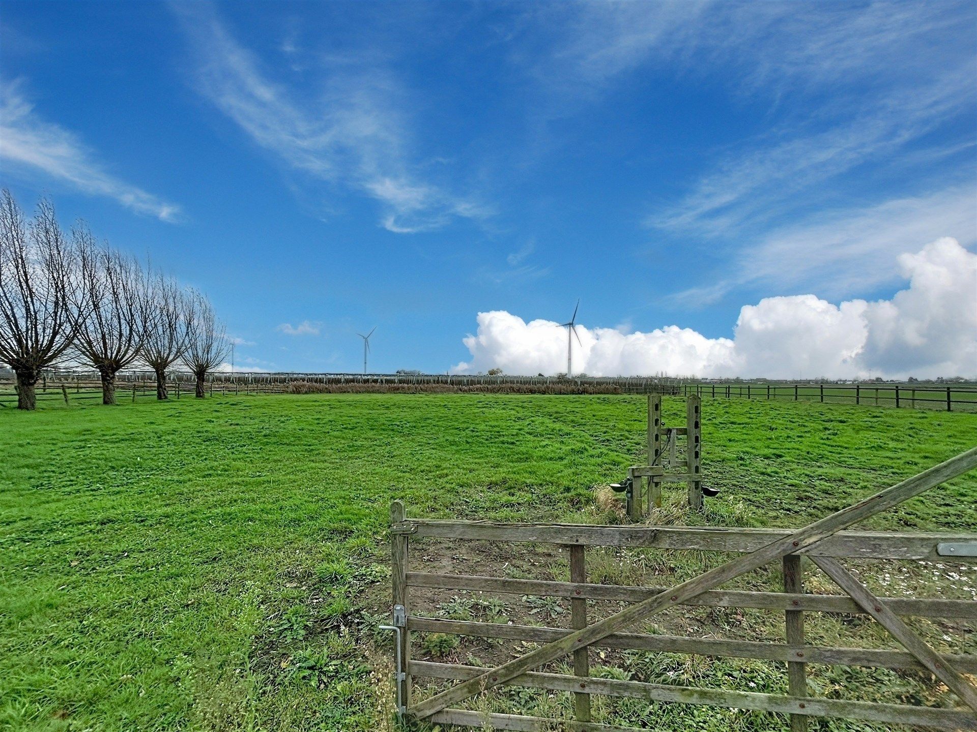 Open bebouwing met 4 slaapkamers op 3550m² foto 14