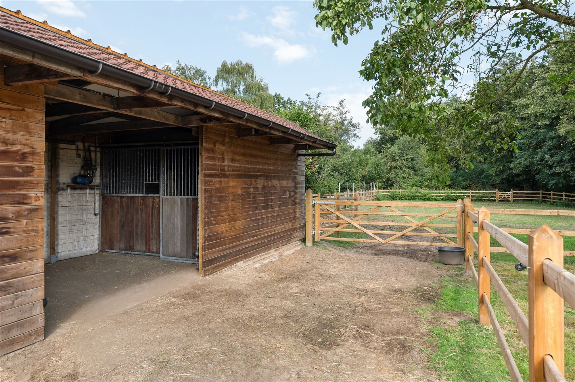 ZEER RUIME EN RECENT GERENOVEERDE WONING OP EEN PERCEEL VAN 2367m² UITGERUST MET EEN VERGUNDE PAARDENSTAL EN ACHTERLIGGENDE WEIDE foto 3