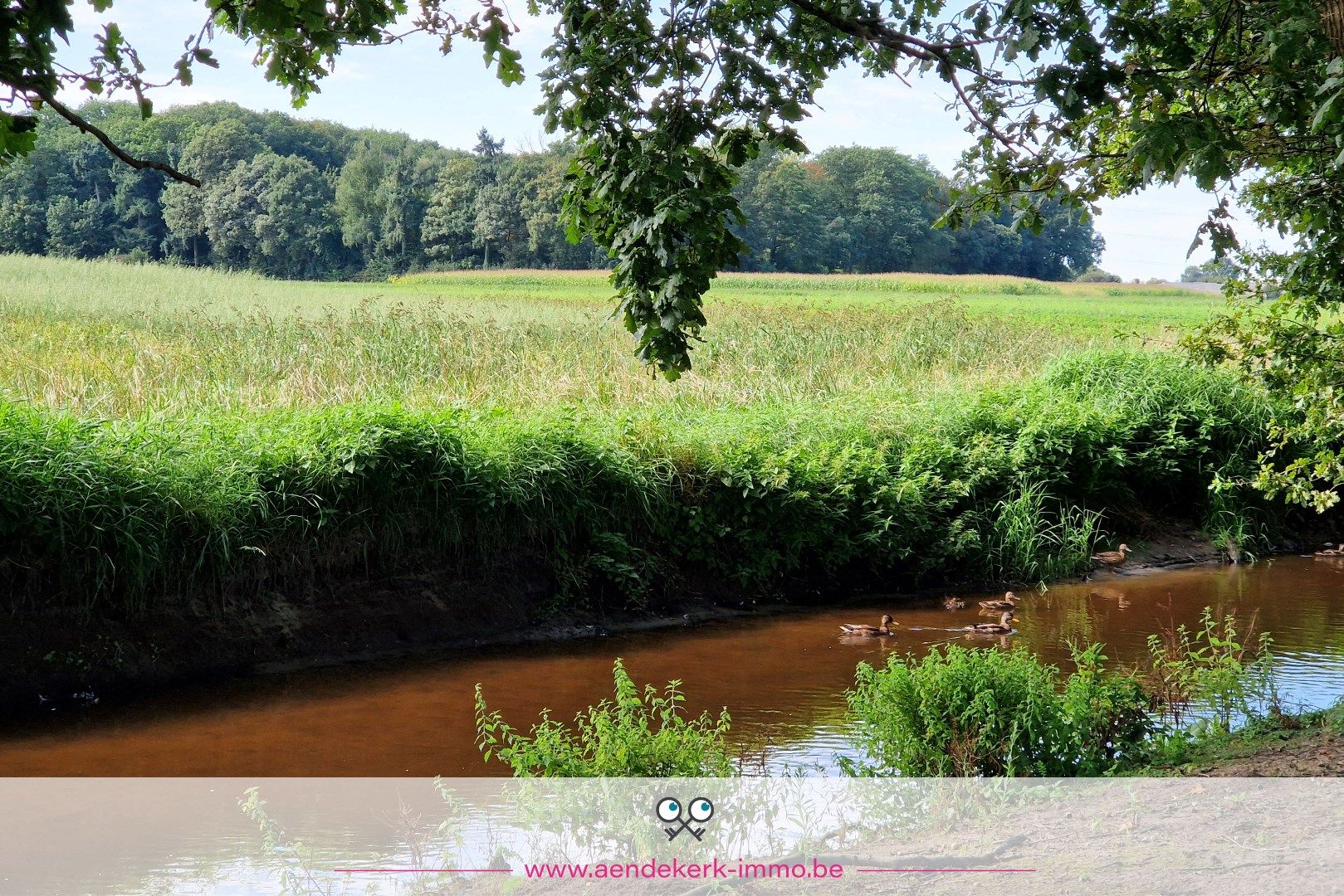 Charmant bouwproject met idyllische ligging in Ophoven foto 14