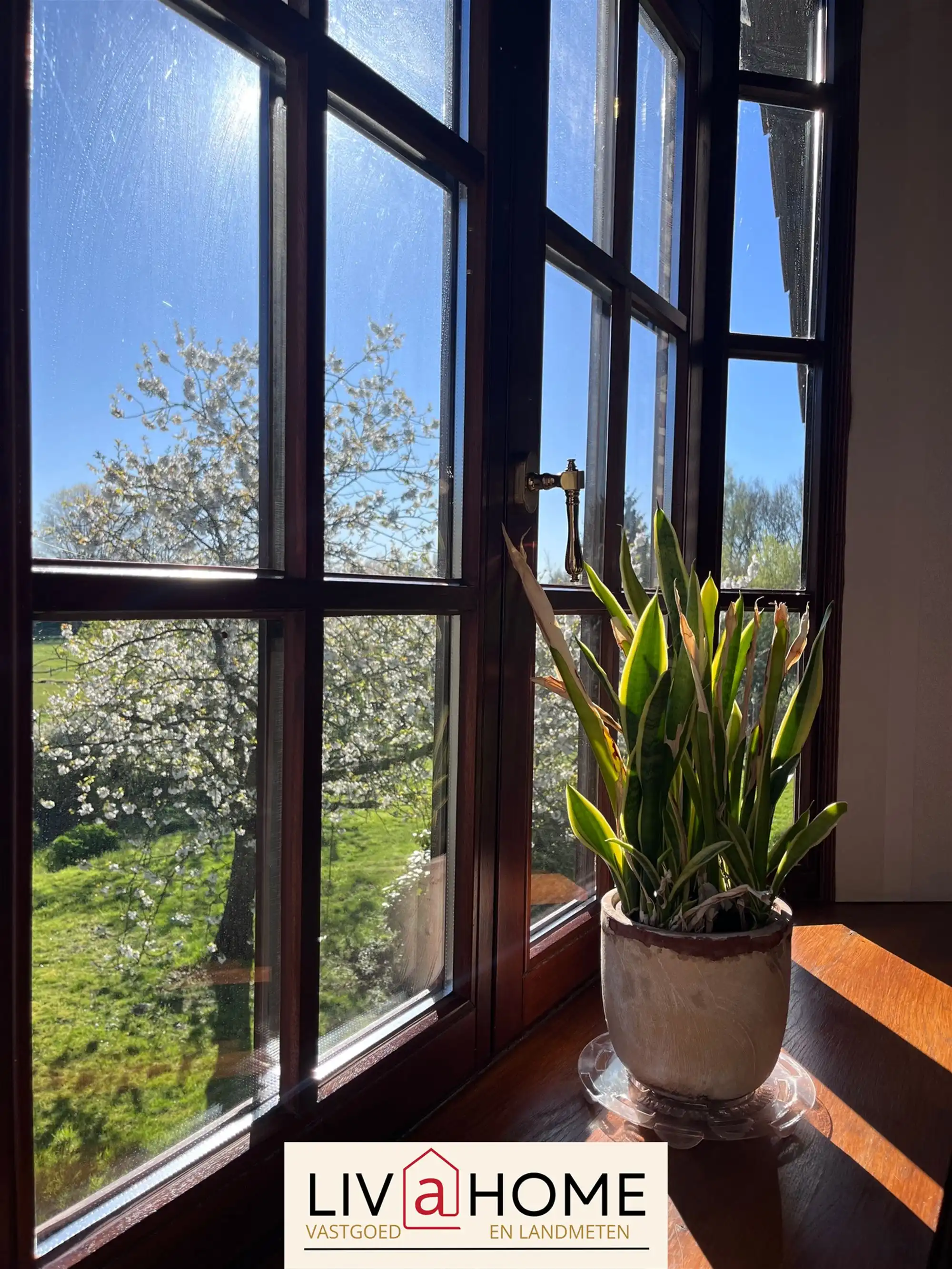 Landelijke woning foto 25