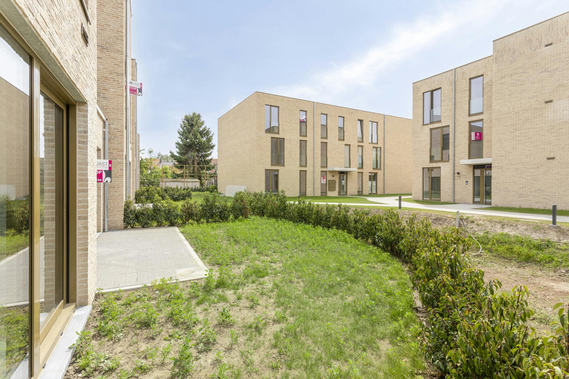 Project Oscar in Beveren foto 3