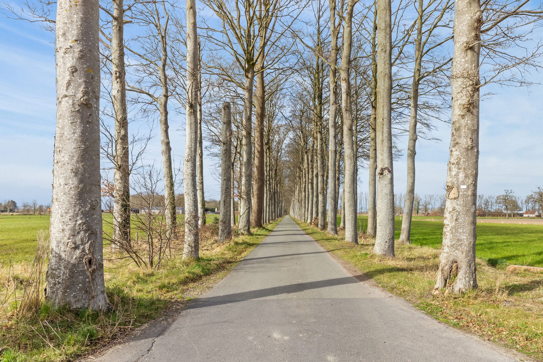 Moderne BEN-woning in een groene en kindvriendelijke buurt foto 32