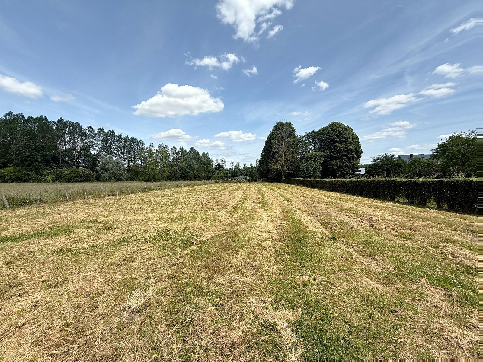 Instapklare kwalitatieve BEN woning met zeer ruime tuin  foto 26