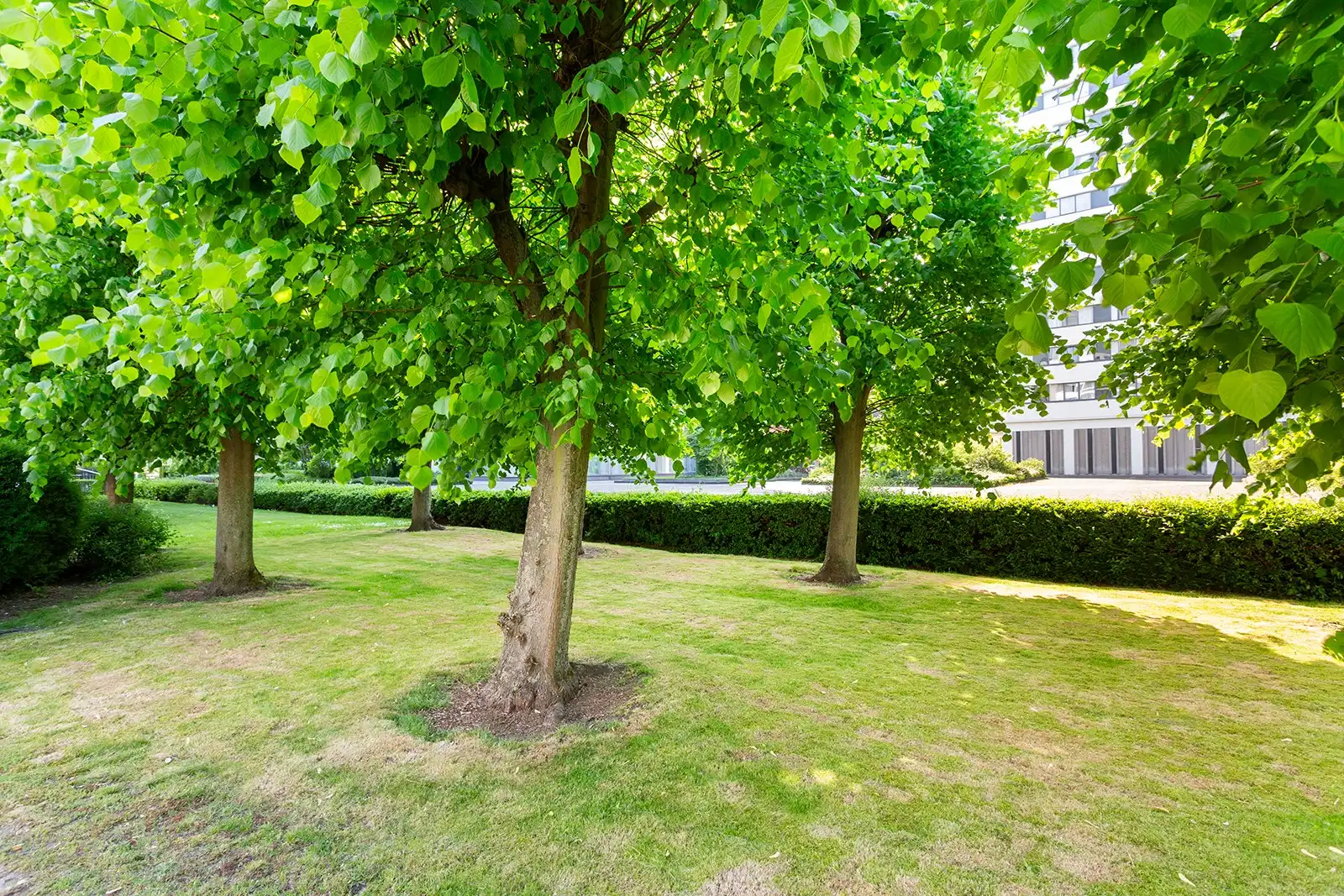 Appartement met 3 slpks, 2 bdks, 3 terrassen en parking foto 23