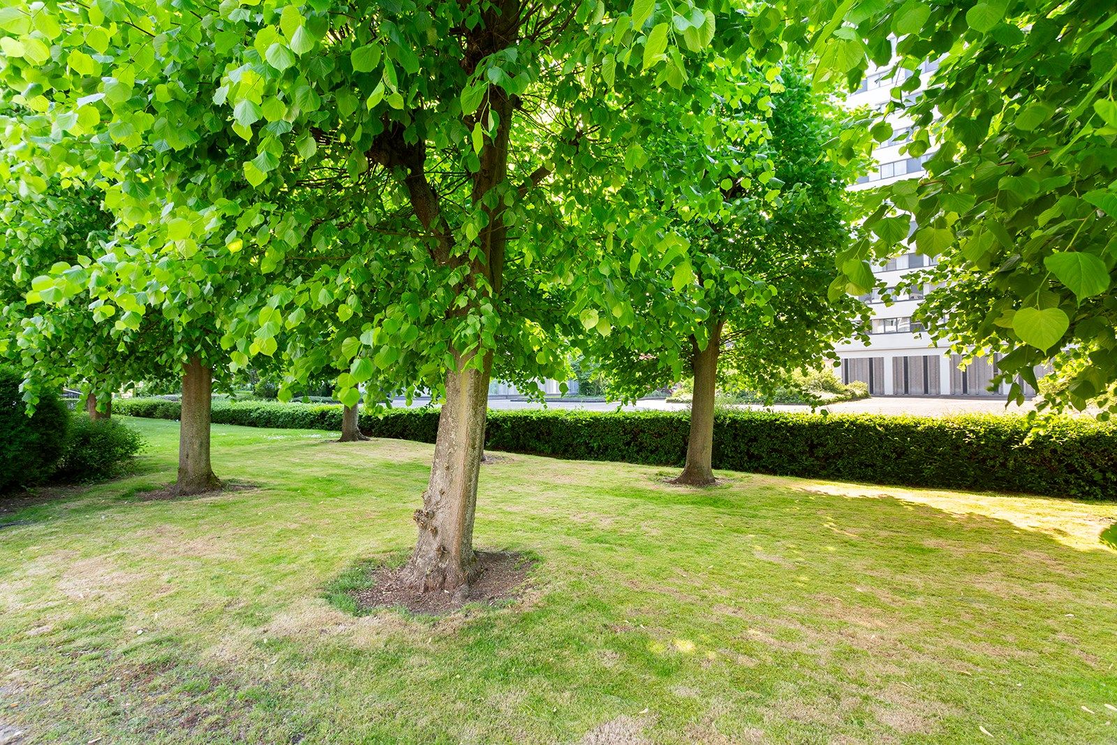 Appartement met 3 slpks, 2 bdks, 3 terrassen en parking foto 23