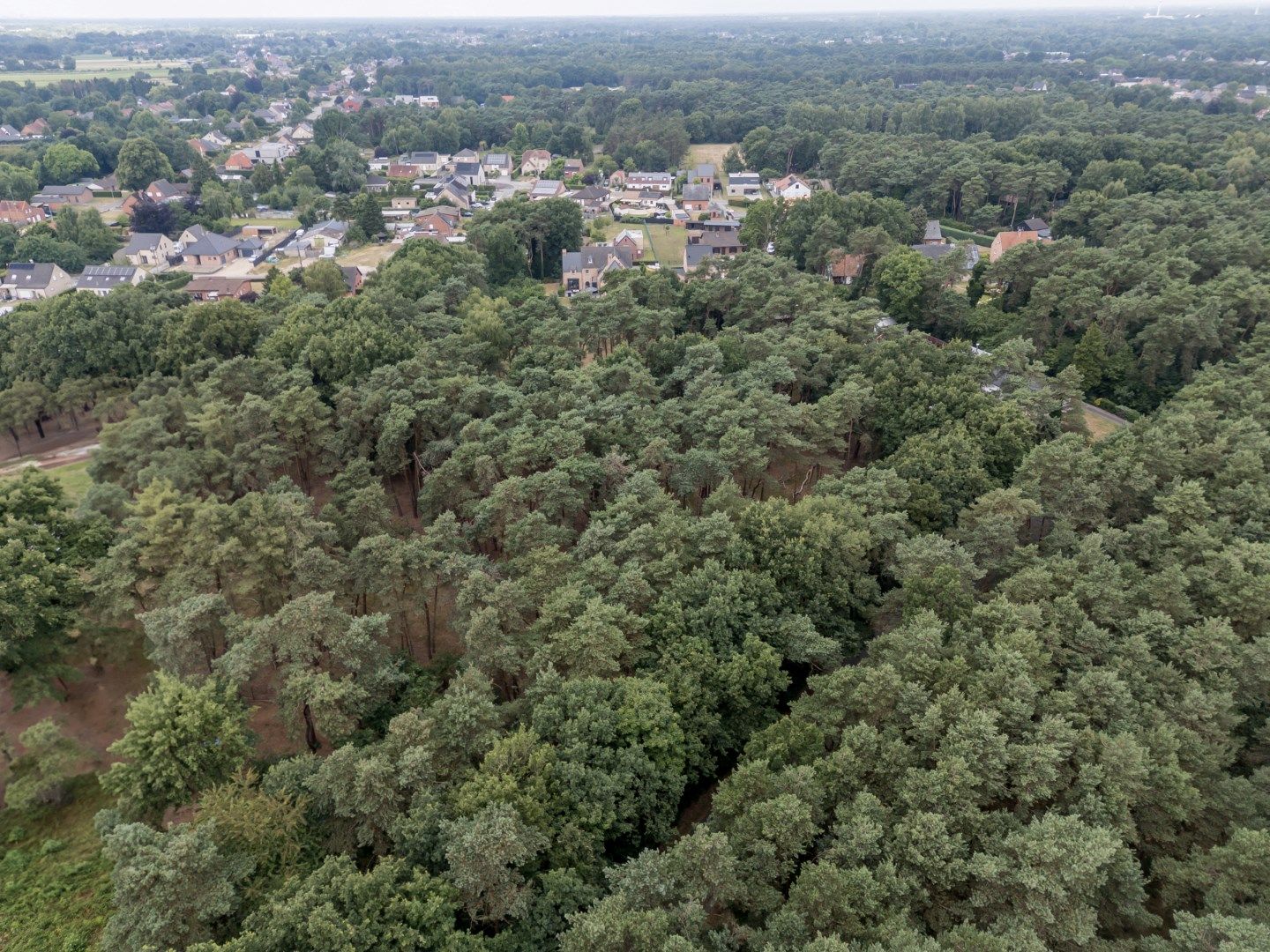 Exclusieve villa met oa 5 slaapkamers en verwarmde zwemvijver  op 2.070 m². foto 42