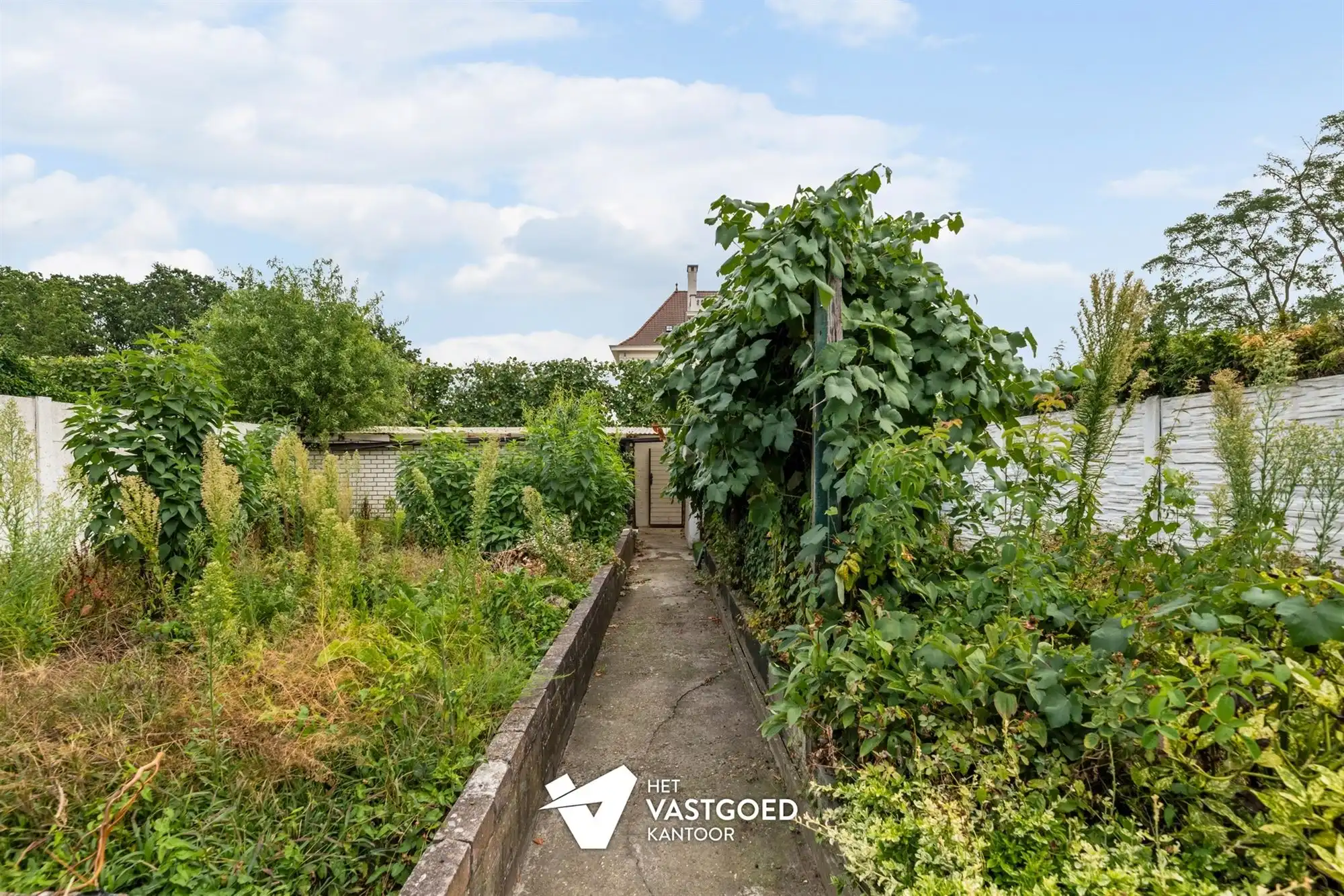 TE RENOVEREN KARAKTERVOLLE WONING UITERST RUSTIG GELEGEN TE BERINGEN-MIJN foto 21