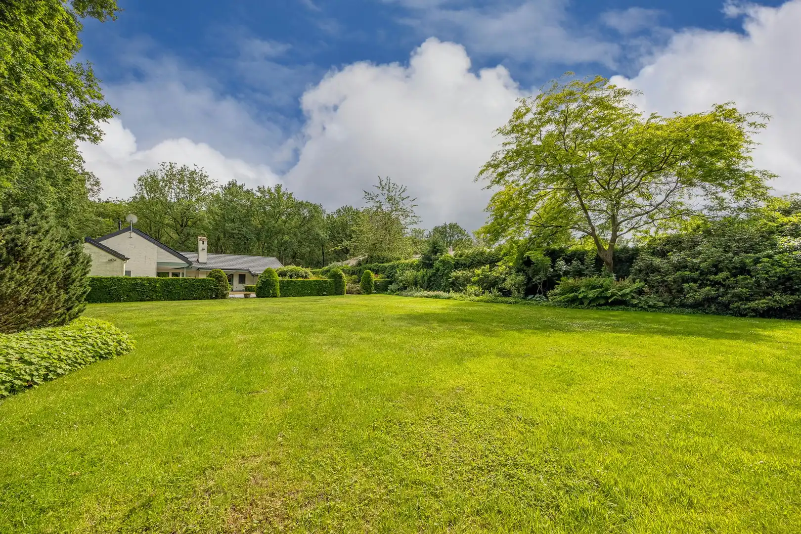 VILLA OP 3.660 M² foto 3