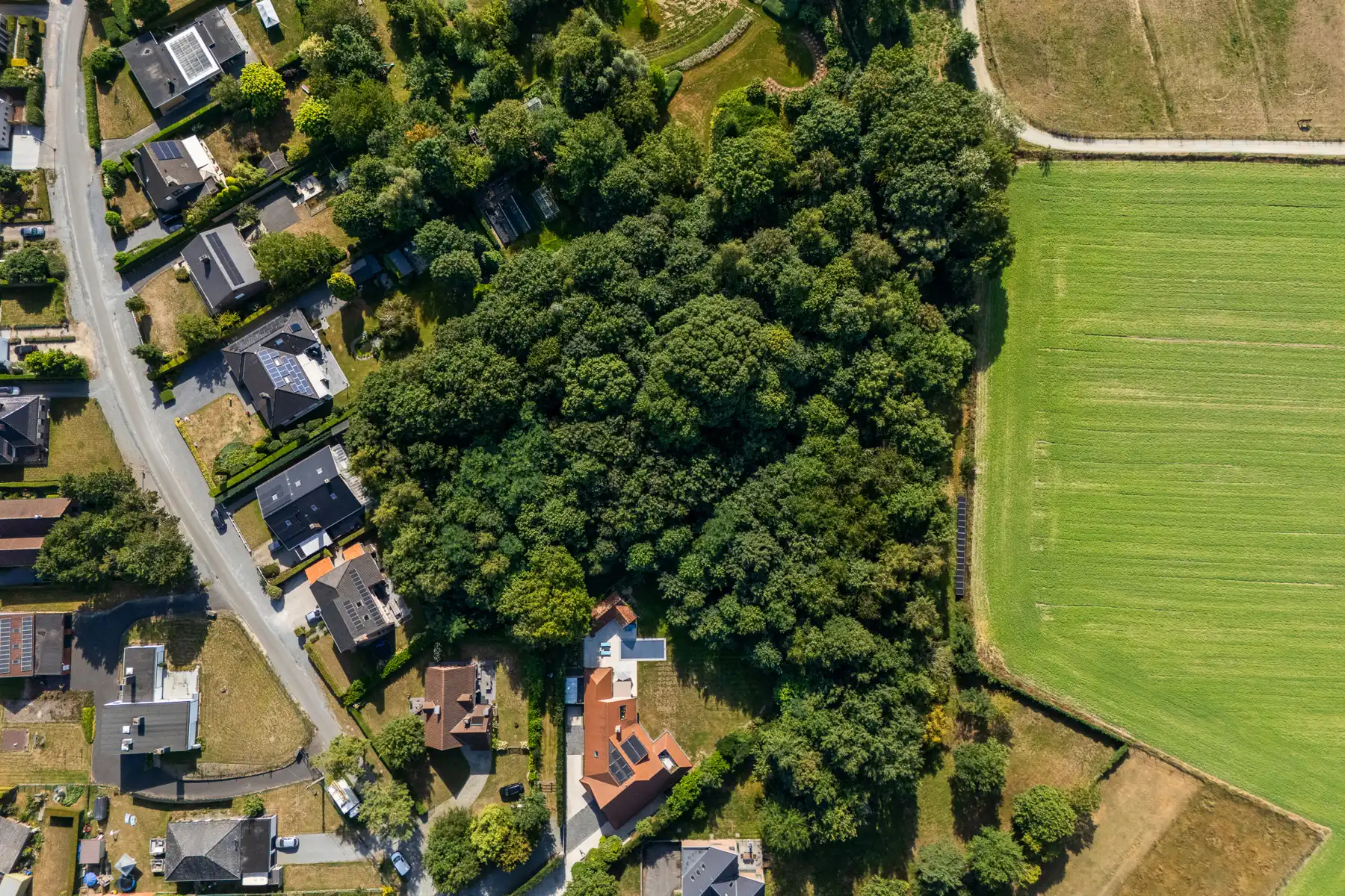 Unieke bouwgrond in 2de bouwlijn op topligging foto 11