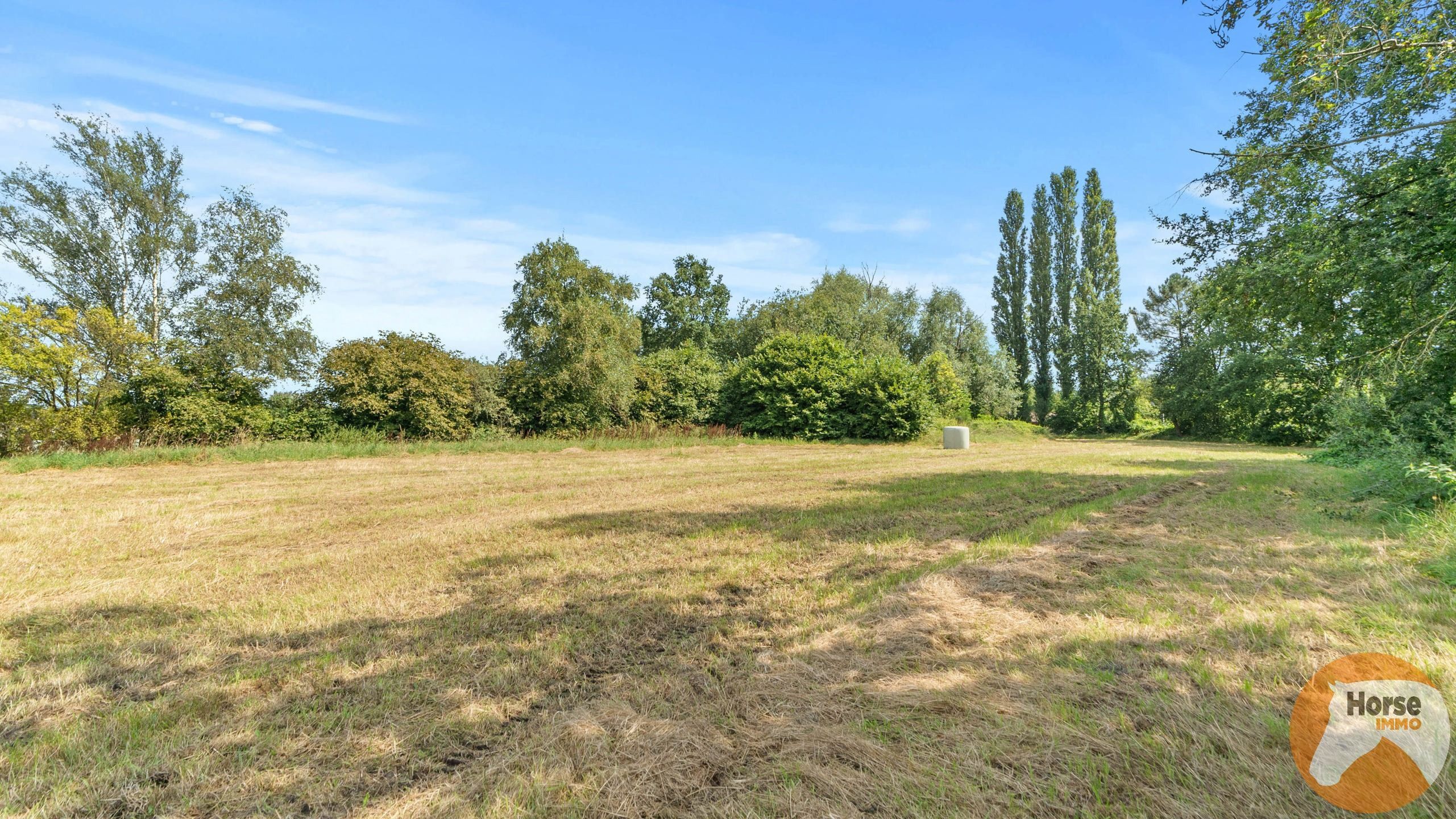 GEEL - Rustig gelegen woning met loods en weide op 1,37Ha foto 16