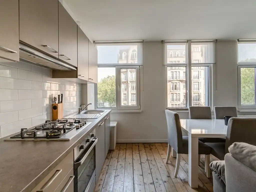 Hip duplex-appartement aan Albertpark foto 4