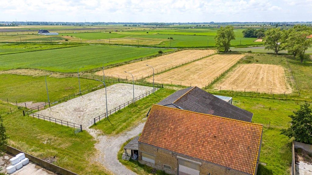 HOEVE op 6,9 HA met NIEUWE VERGUNNING voor PAARDENFOKKERIJ foto 18