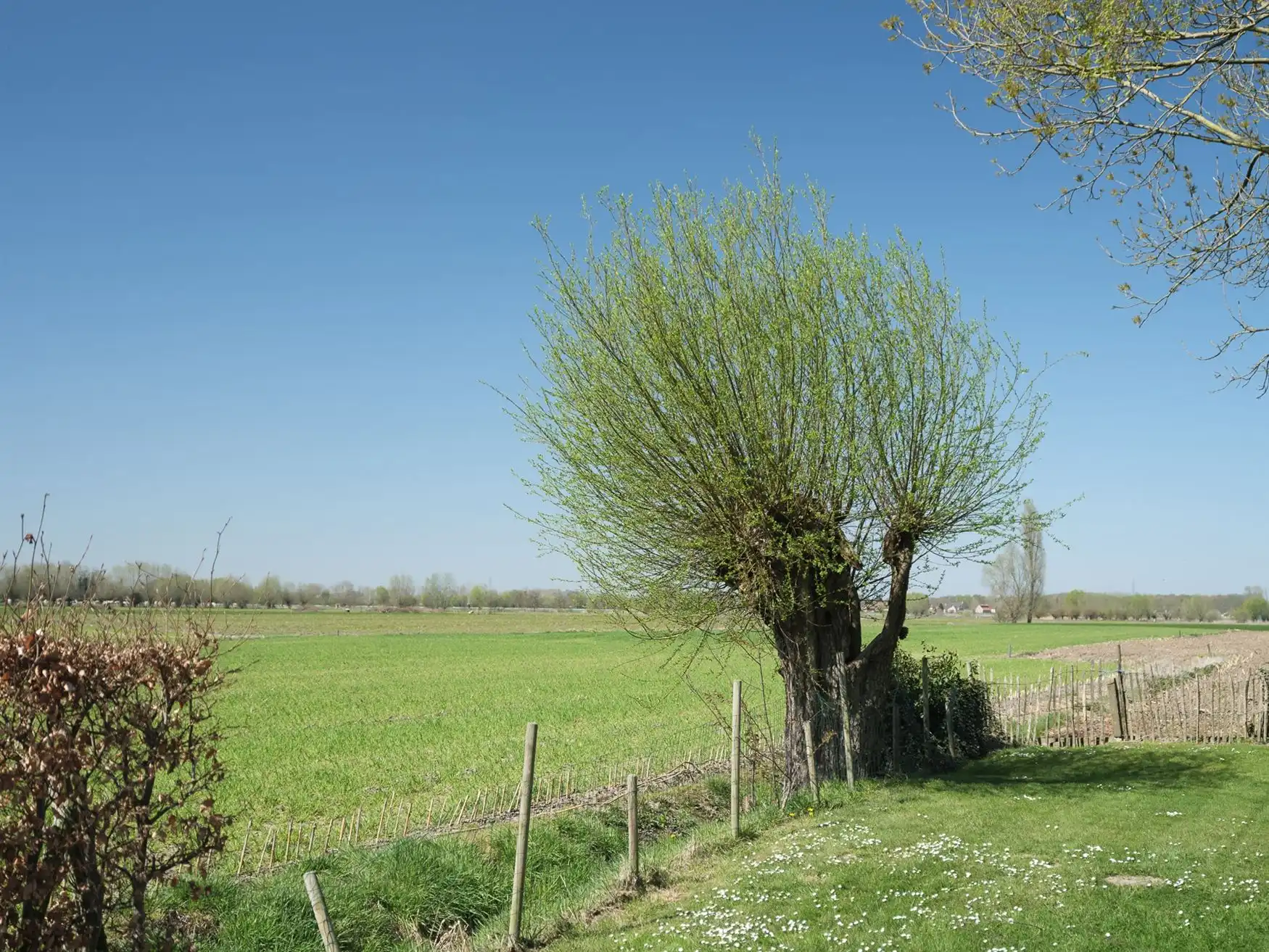 Charmant wonen met landschappelijke vergezichten foto 10