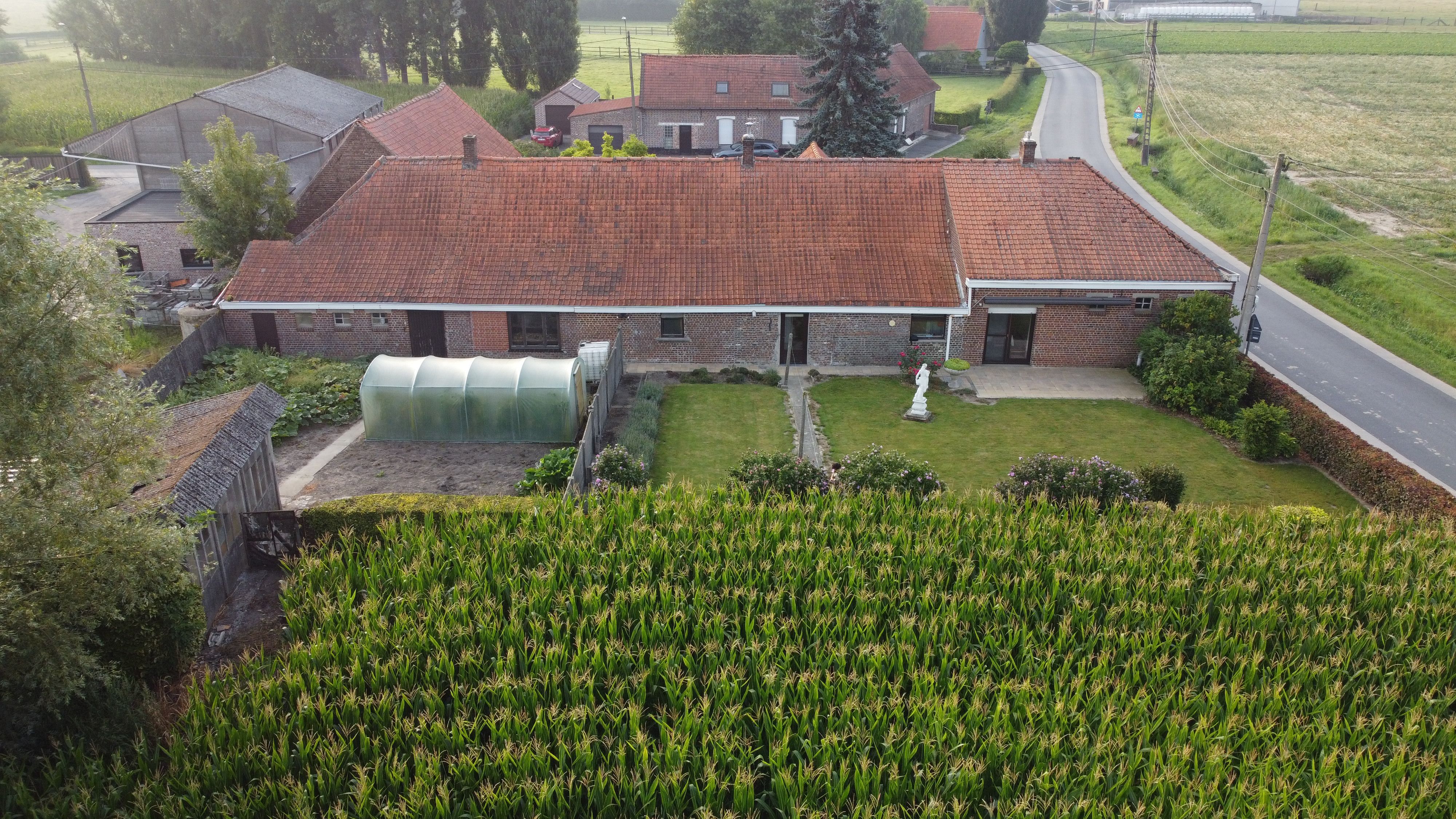 Te renoveren hoeve met stallen op 3780 m² foto 4