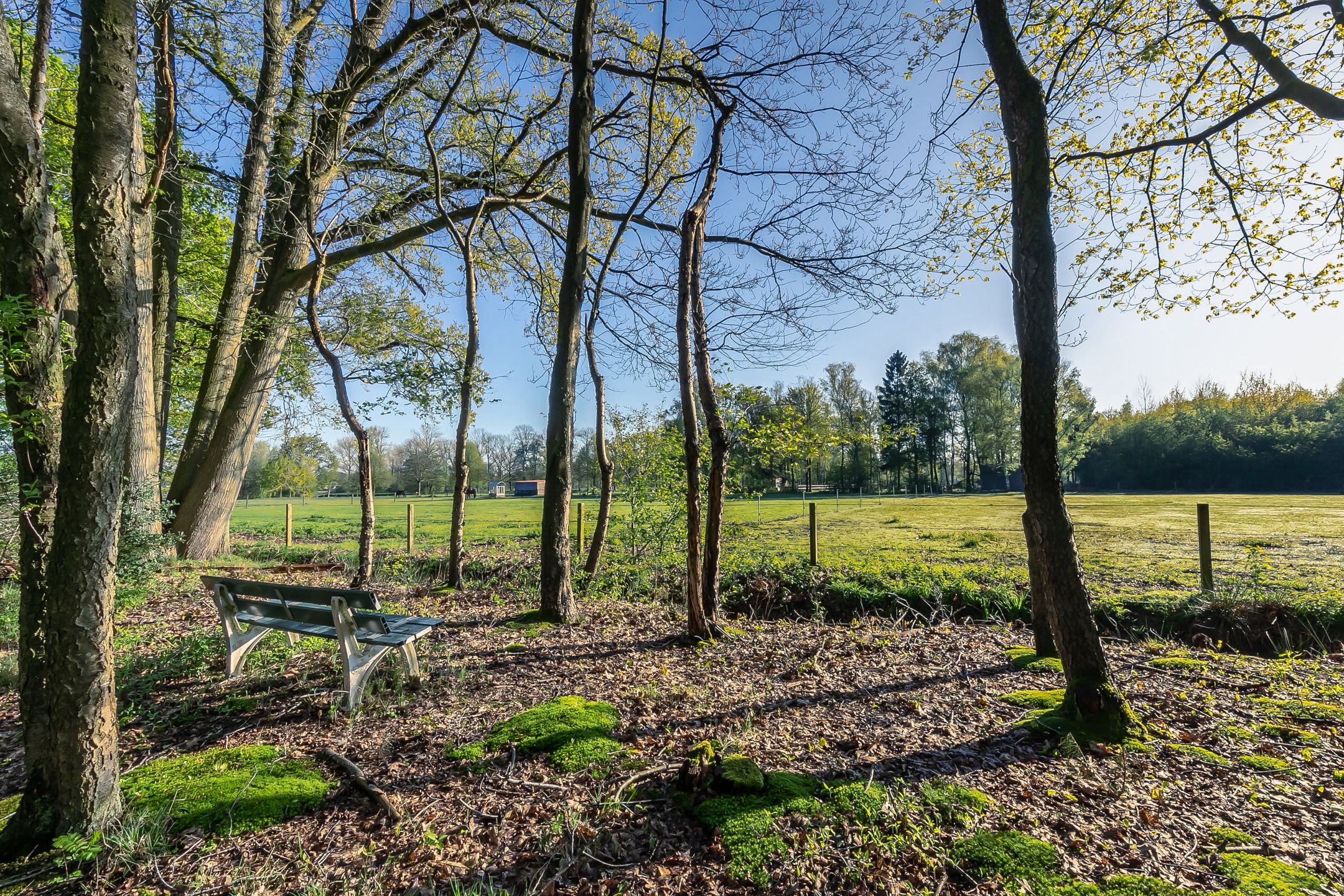 Unieke villa met prachtig uitzicht naast het park van Halle-Zoersel foto 19