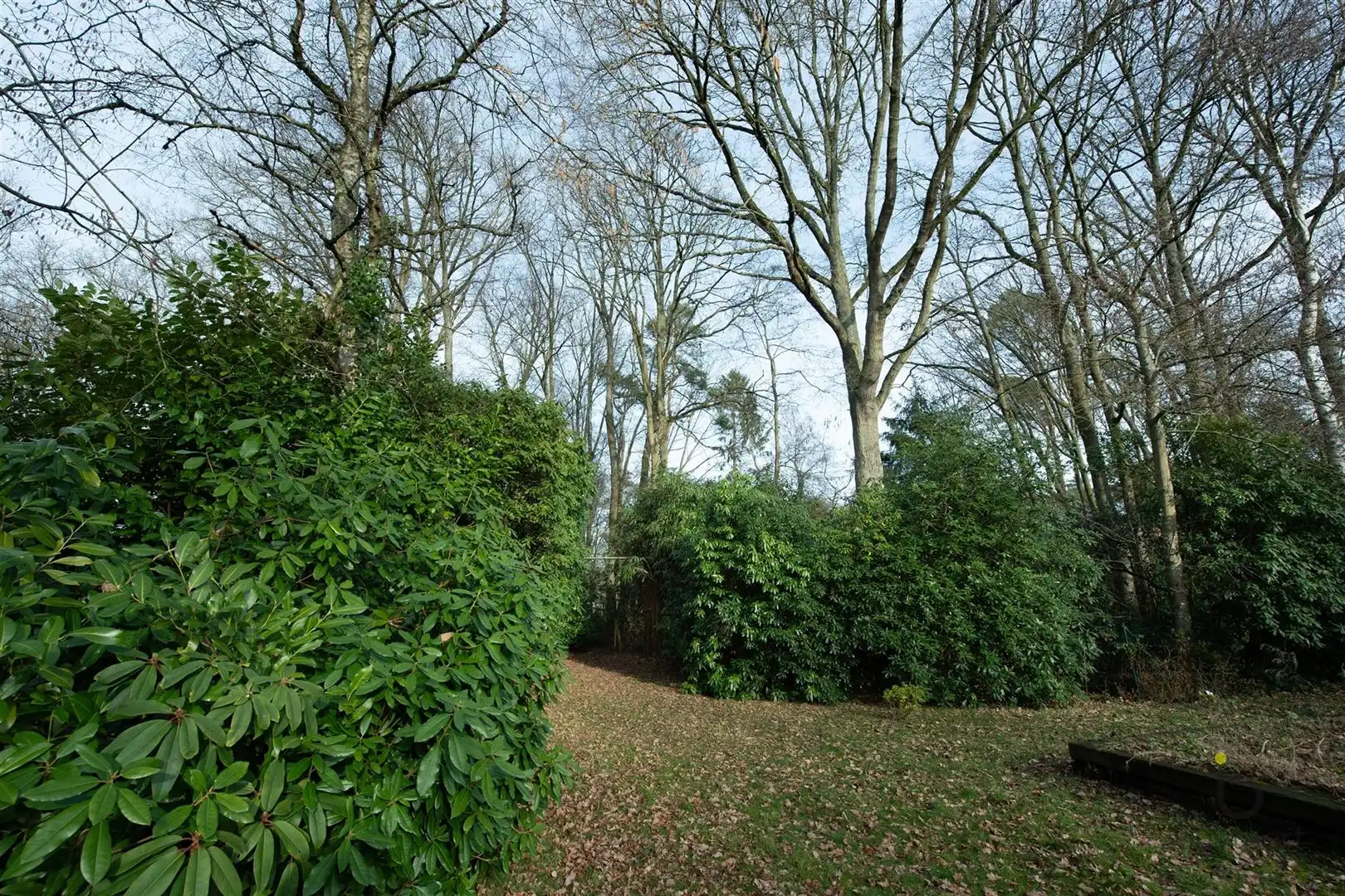 Veel renovatiepotentieel in ruime rustig gelegen familiewoning midden in het groen! foto 50