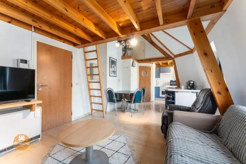 STUDIO IN DE BUURT VAN HET STRAND foto 2